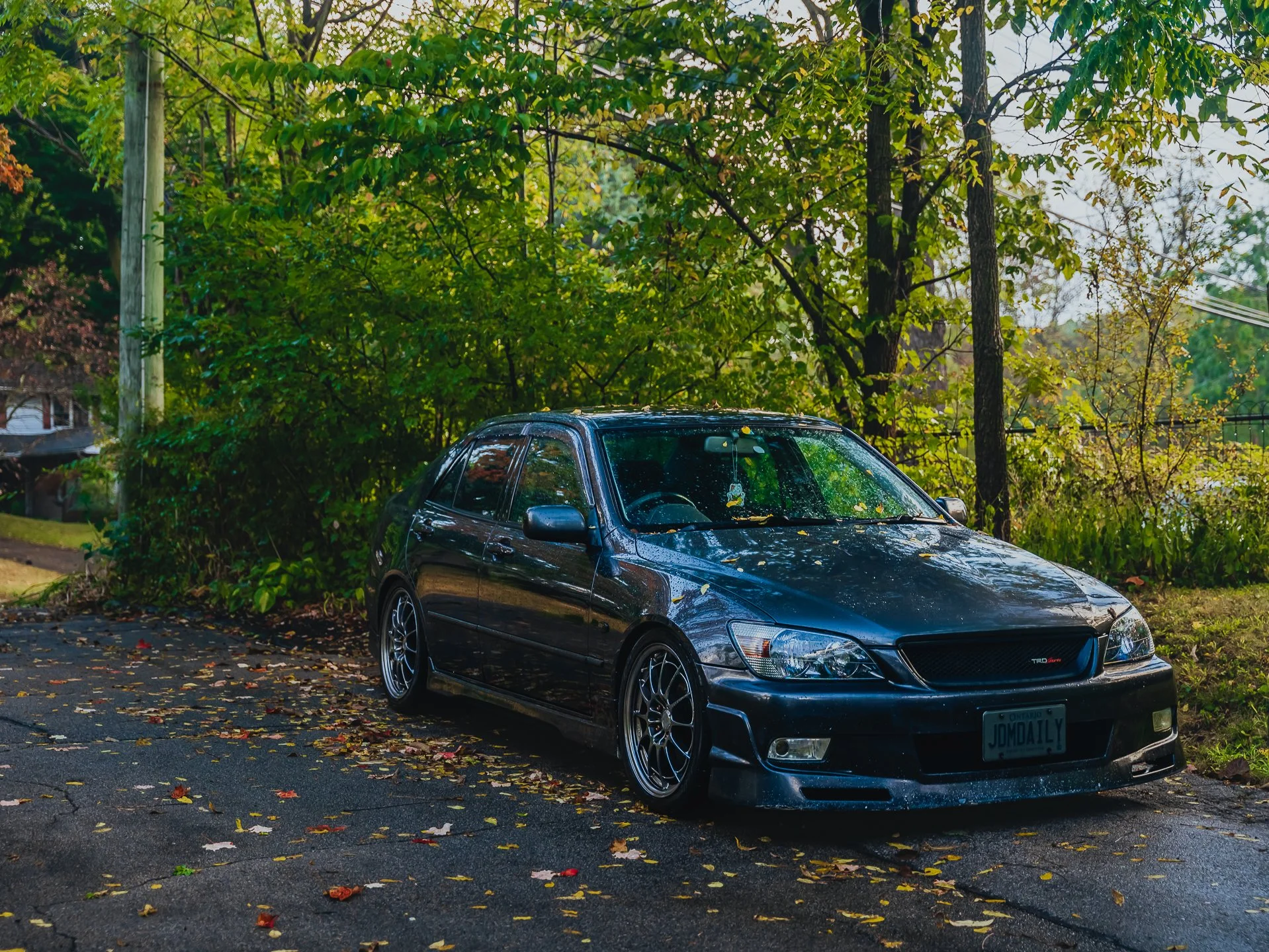 A7400123.jpg