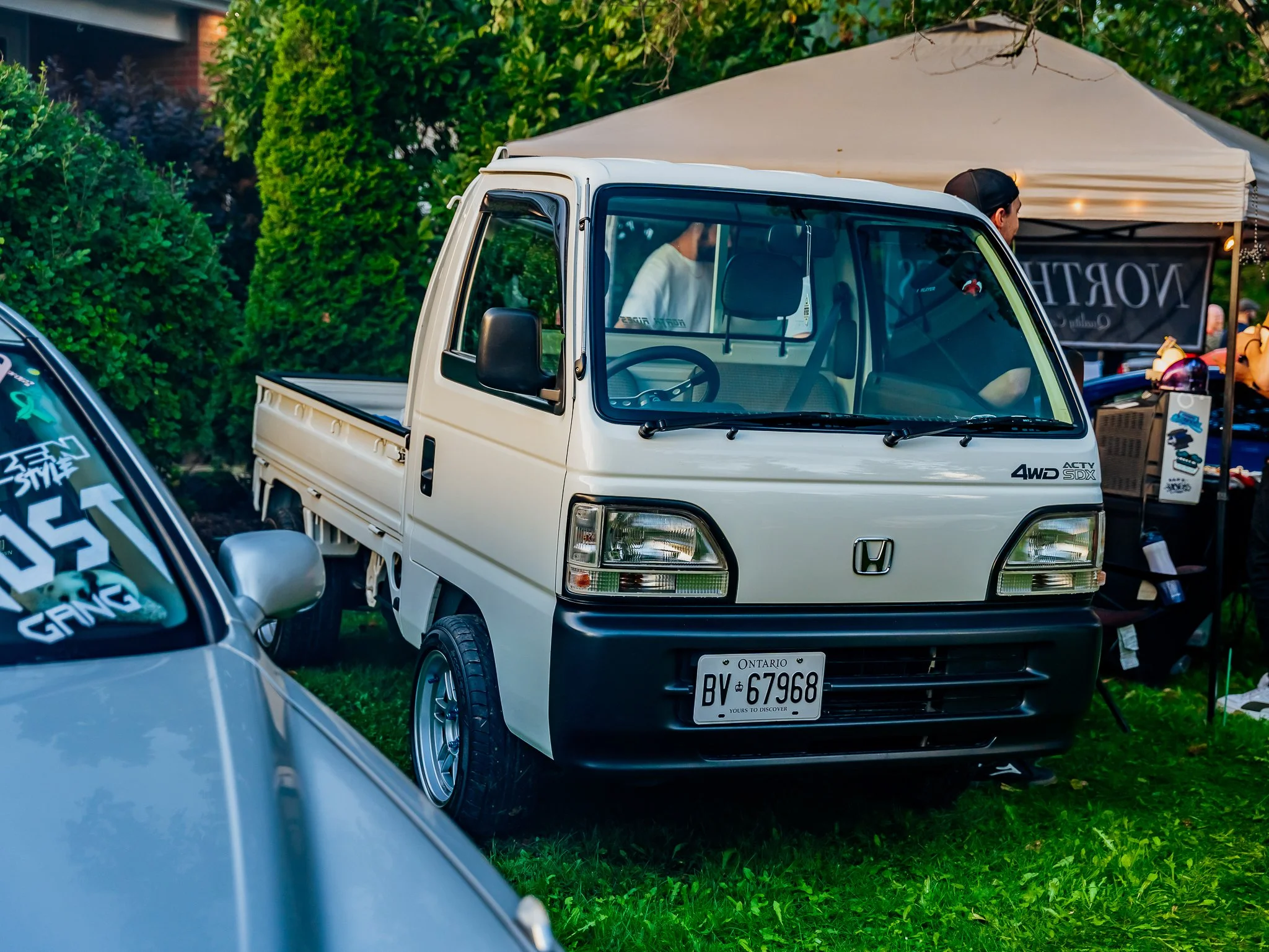 A7401531.jpg