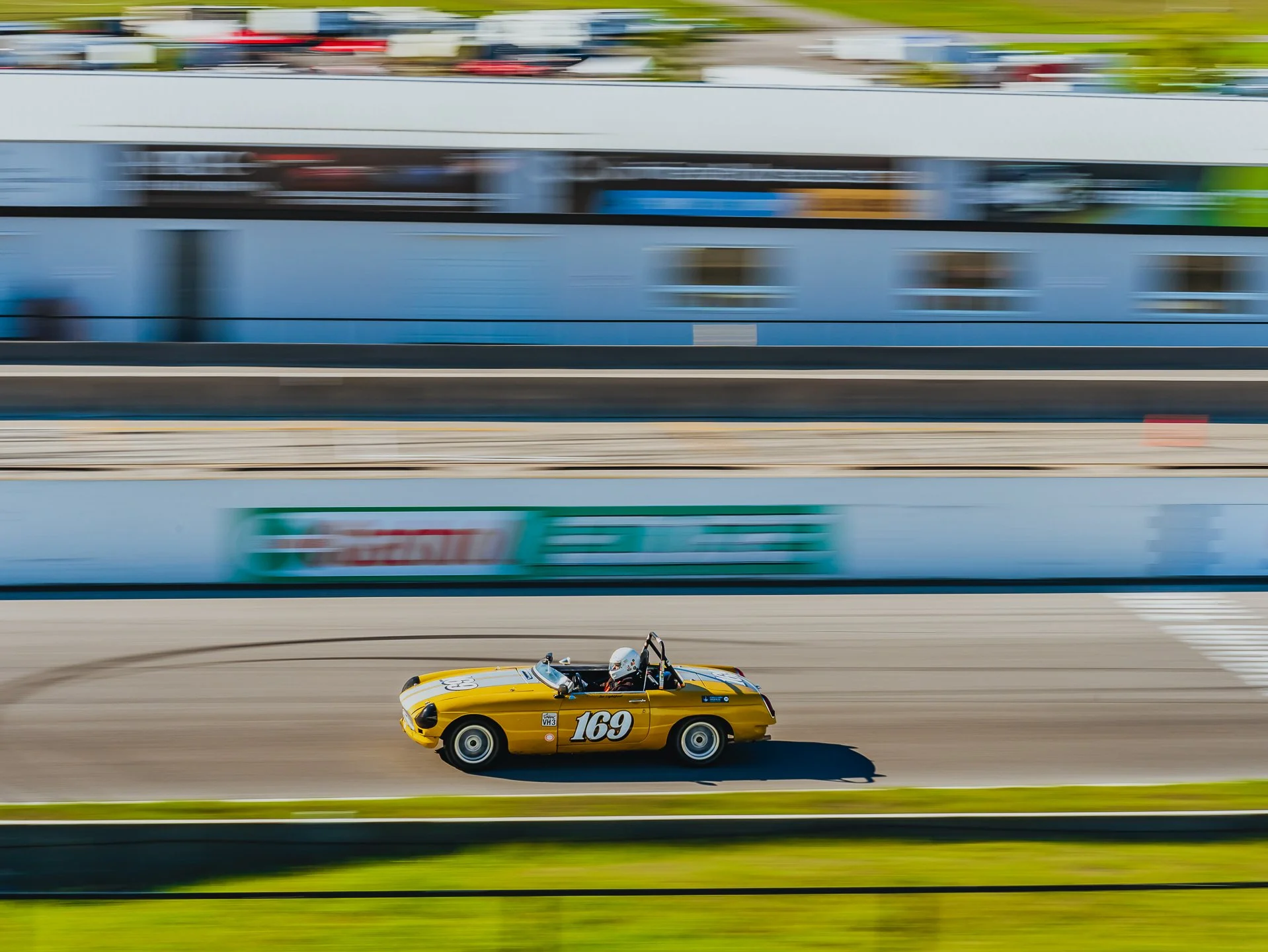 A7401861.jpg
