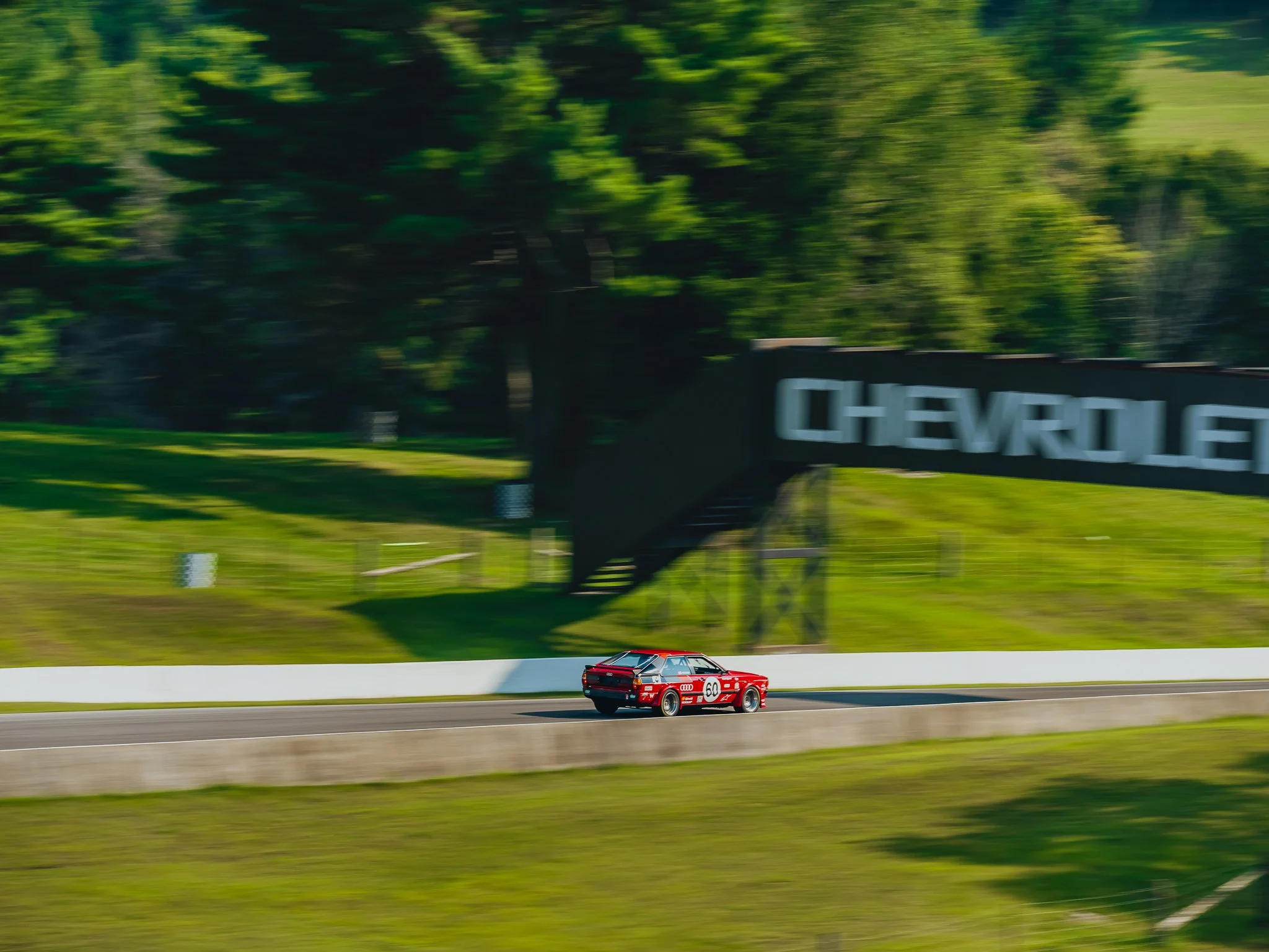 A7400982.jpg