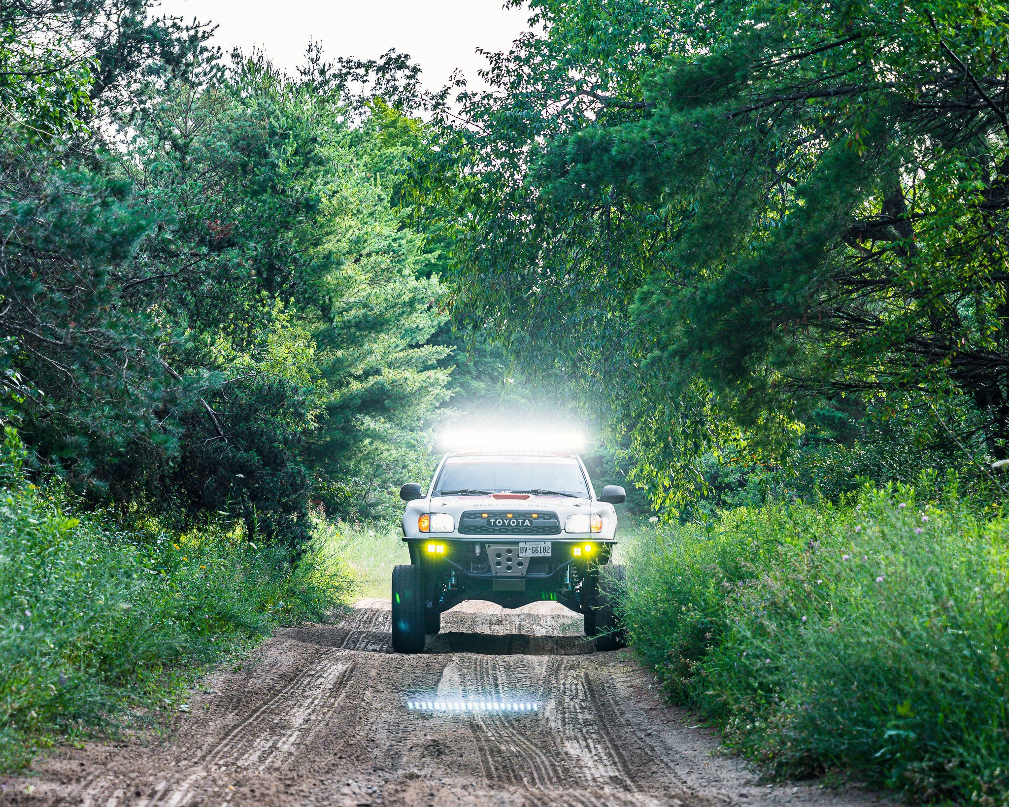 A7403459.jpg