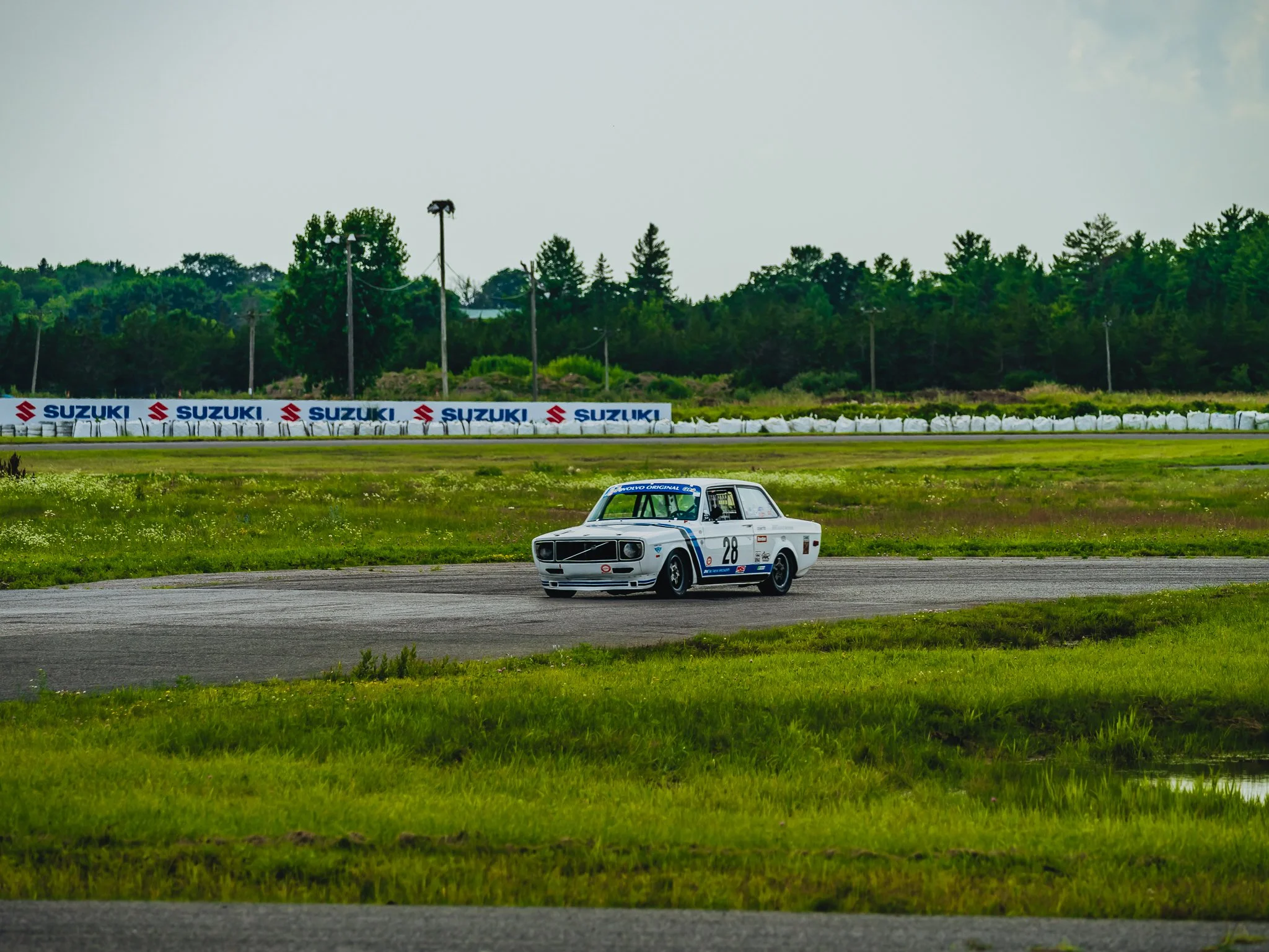 A7403161.jpg