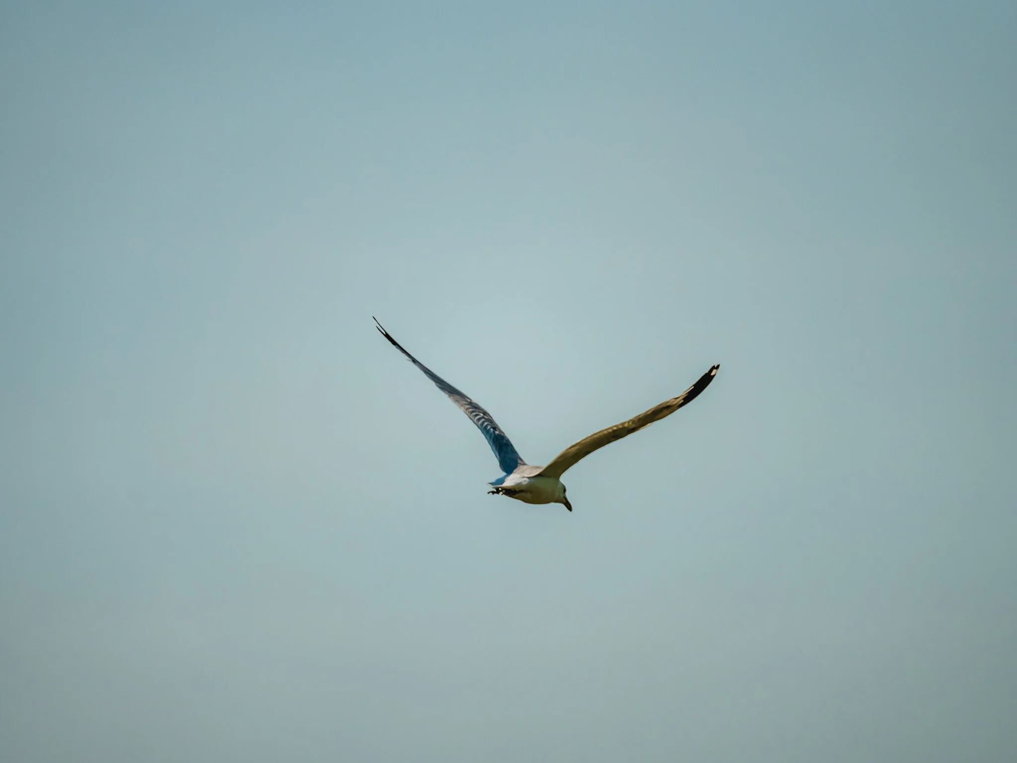 A7400128.jpg