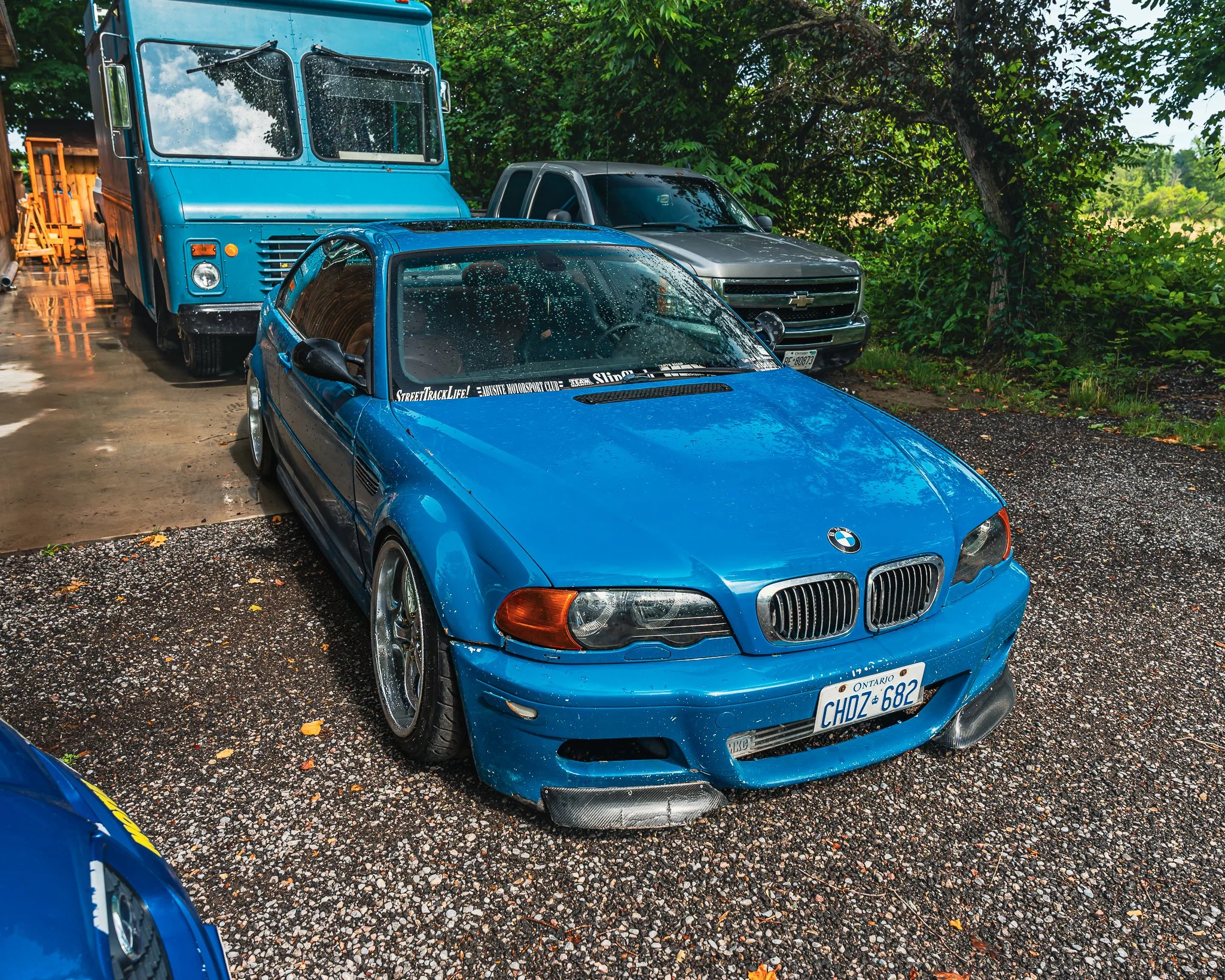 A7403195.jpg