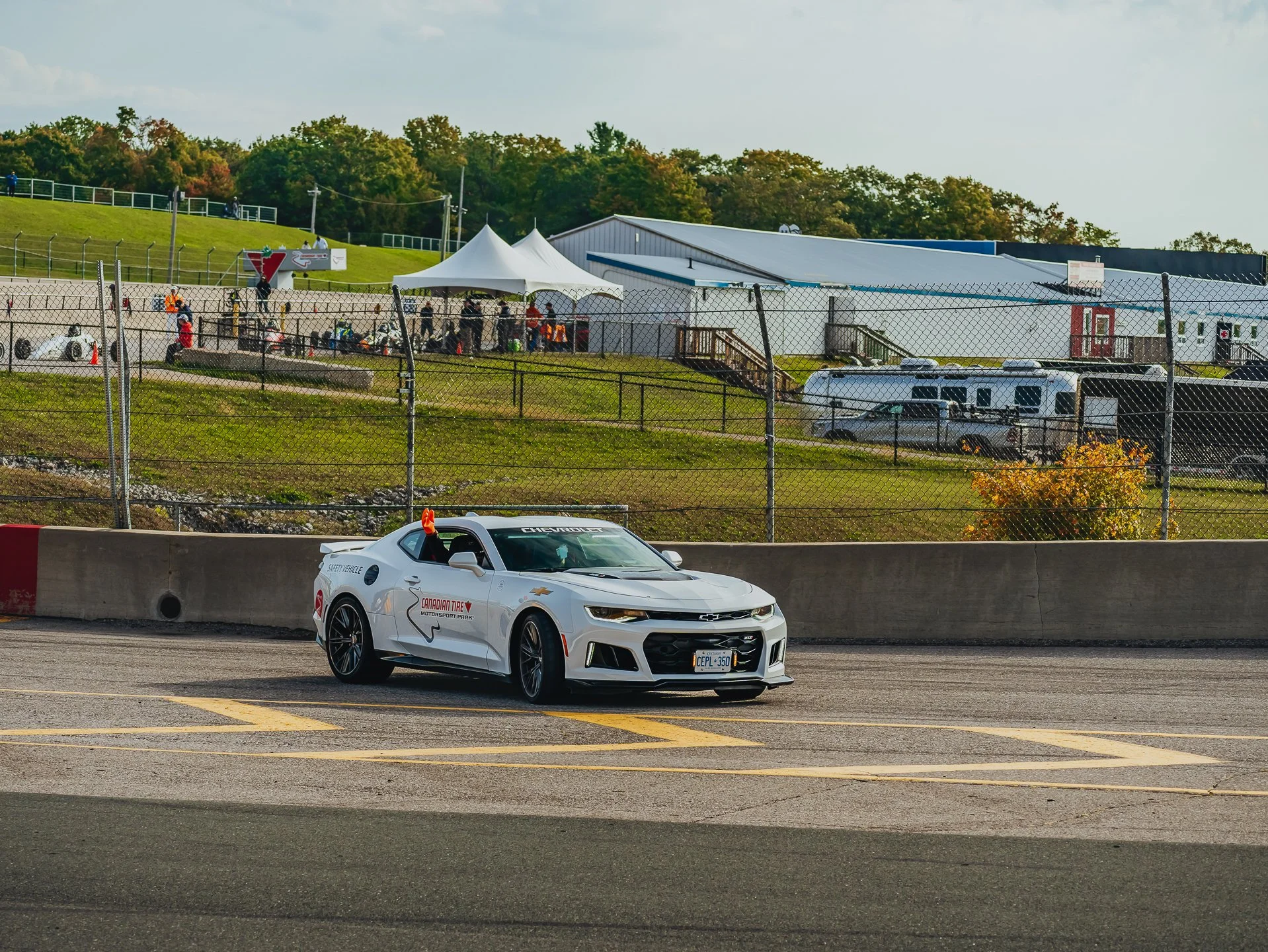 A7403147.jpg
