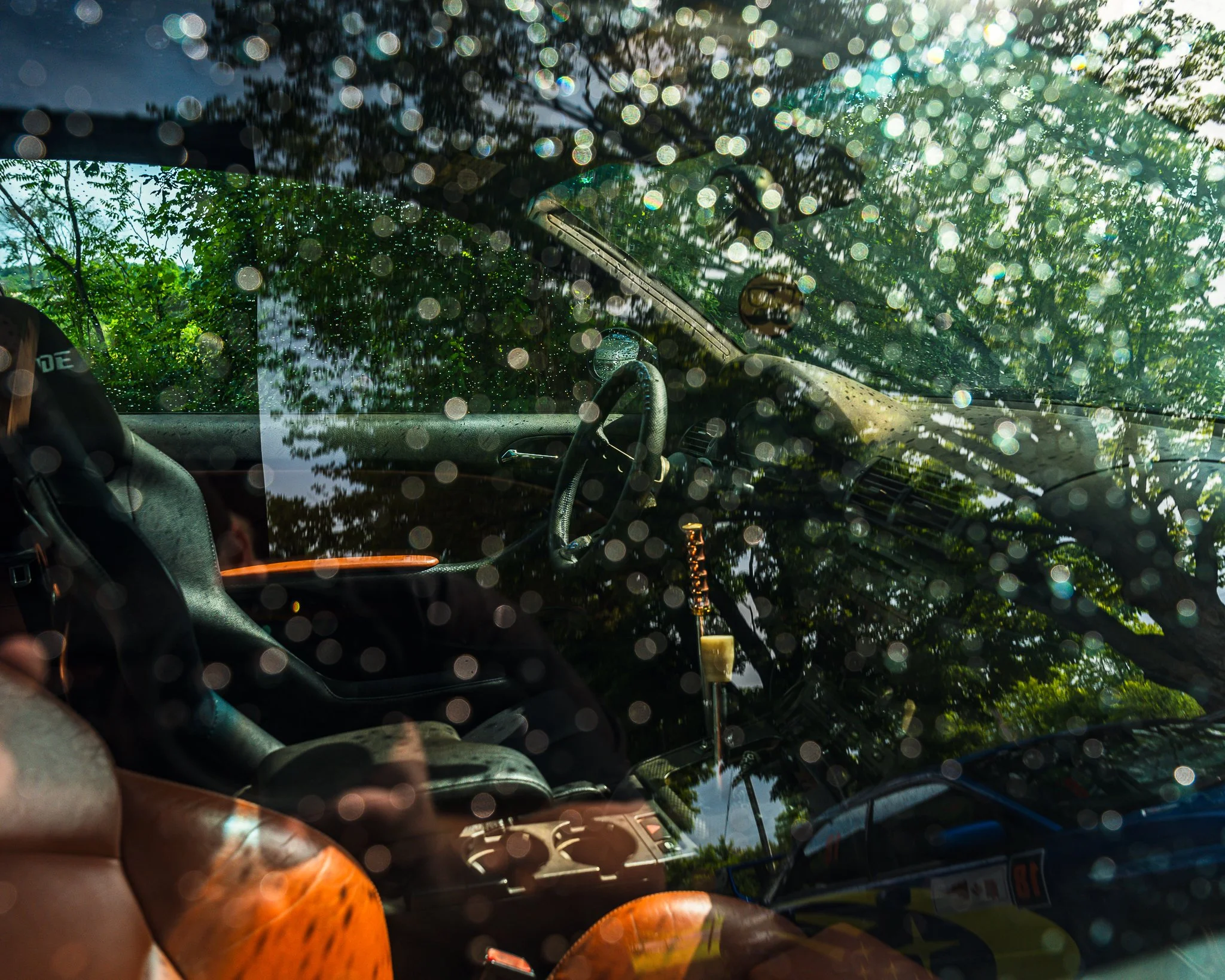 A7403201.jpg