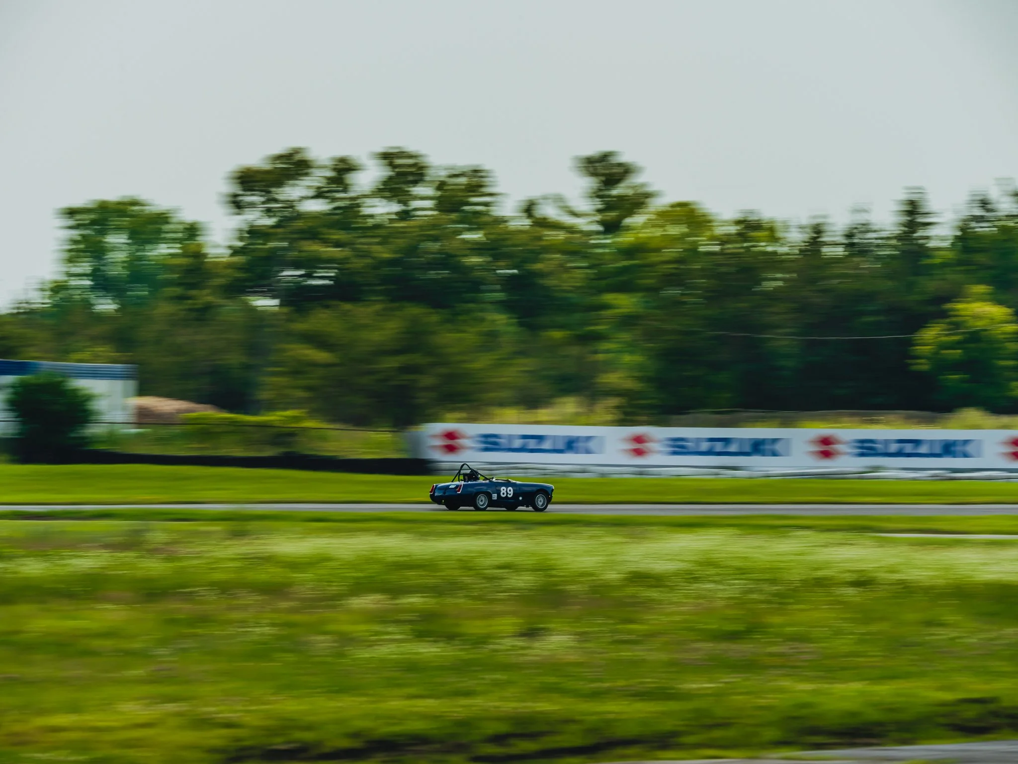 A7403245.jpg