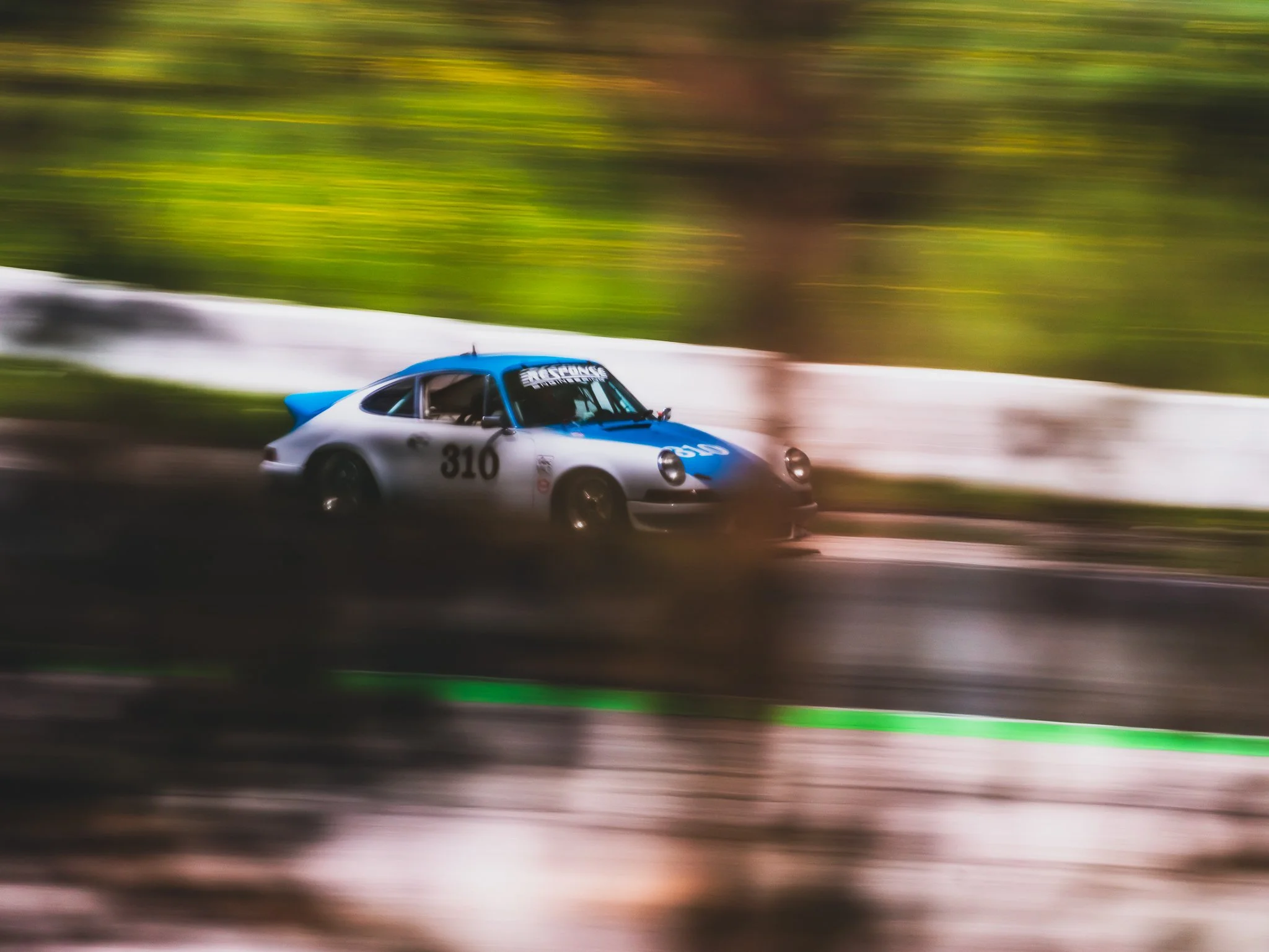 A7407007.jpg