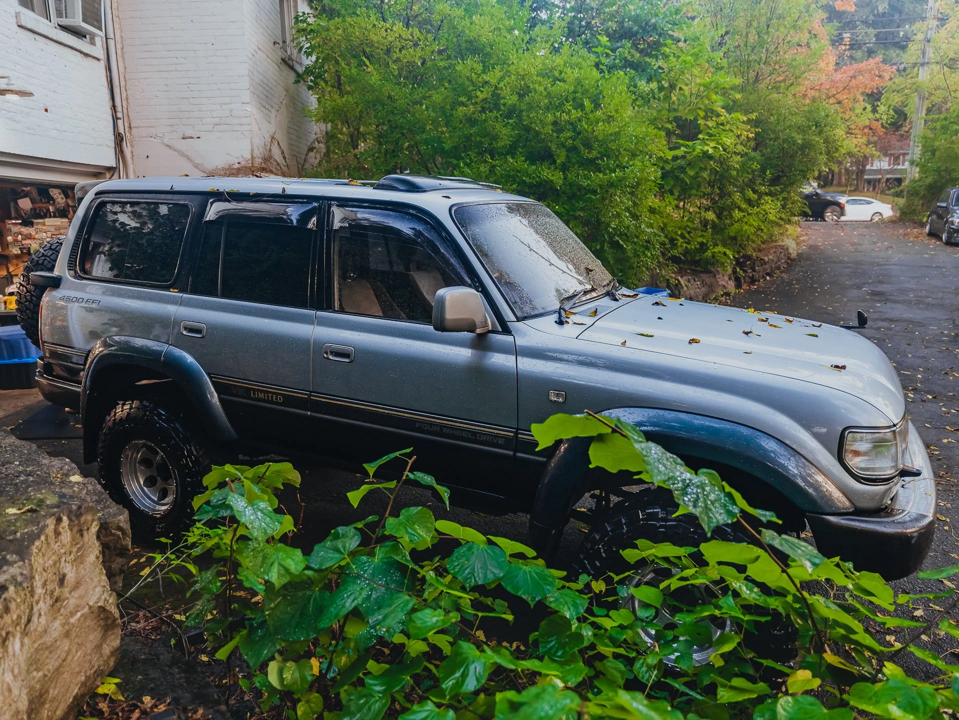 A7400138.jpg