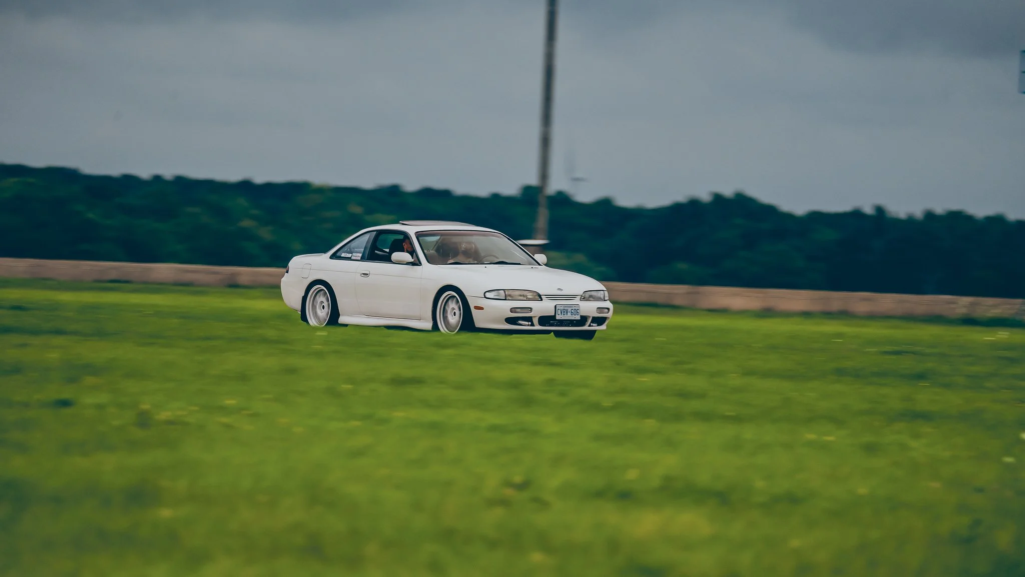 A7401220.jpg