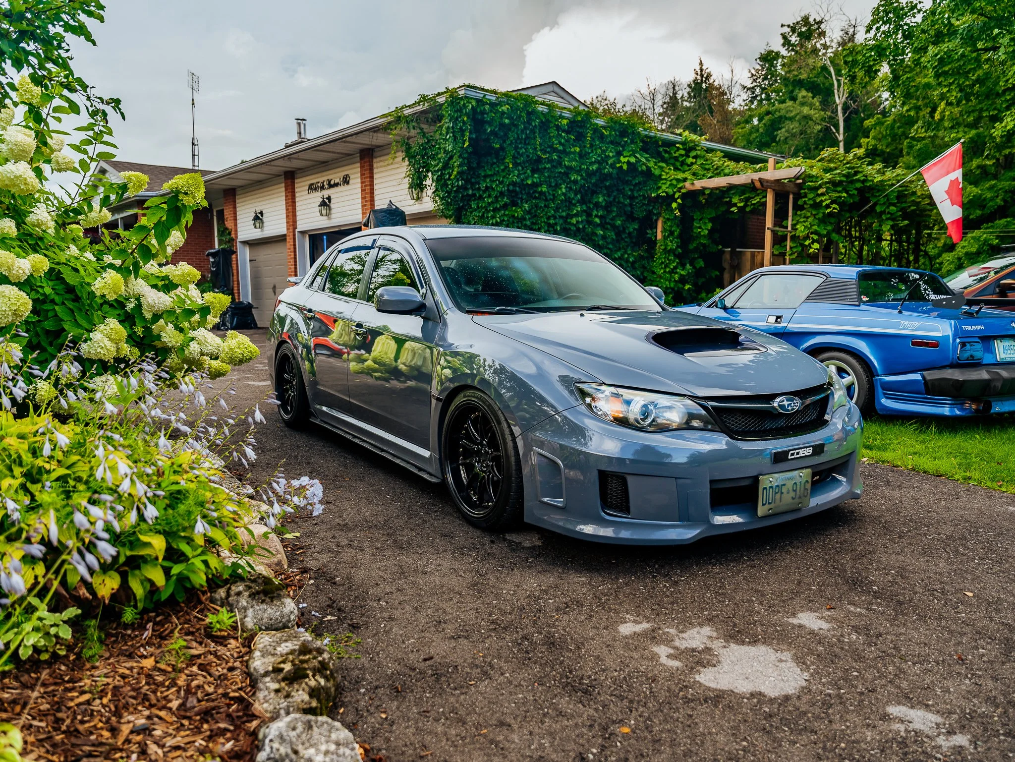 A7401366.jpg