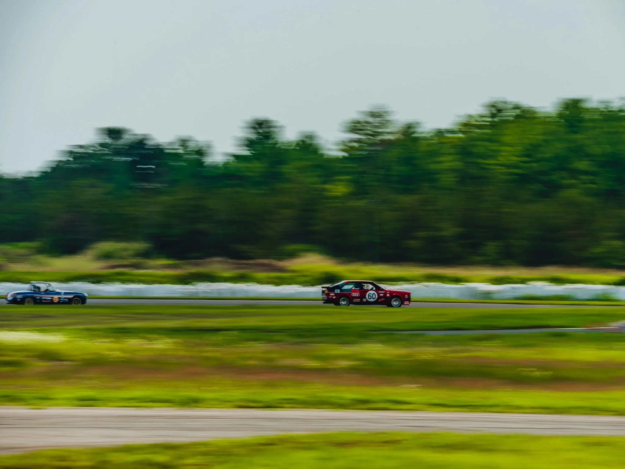 A7403308.jpg