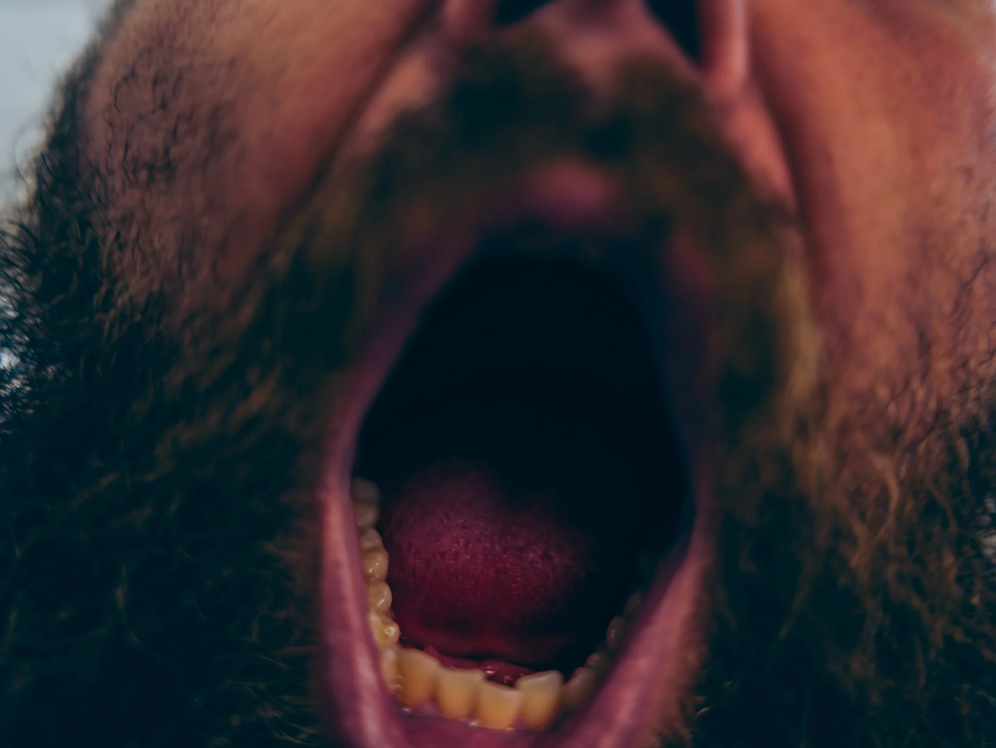 A7402487.jpg