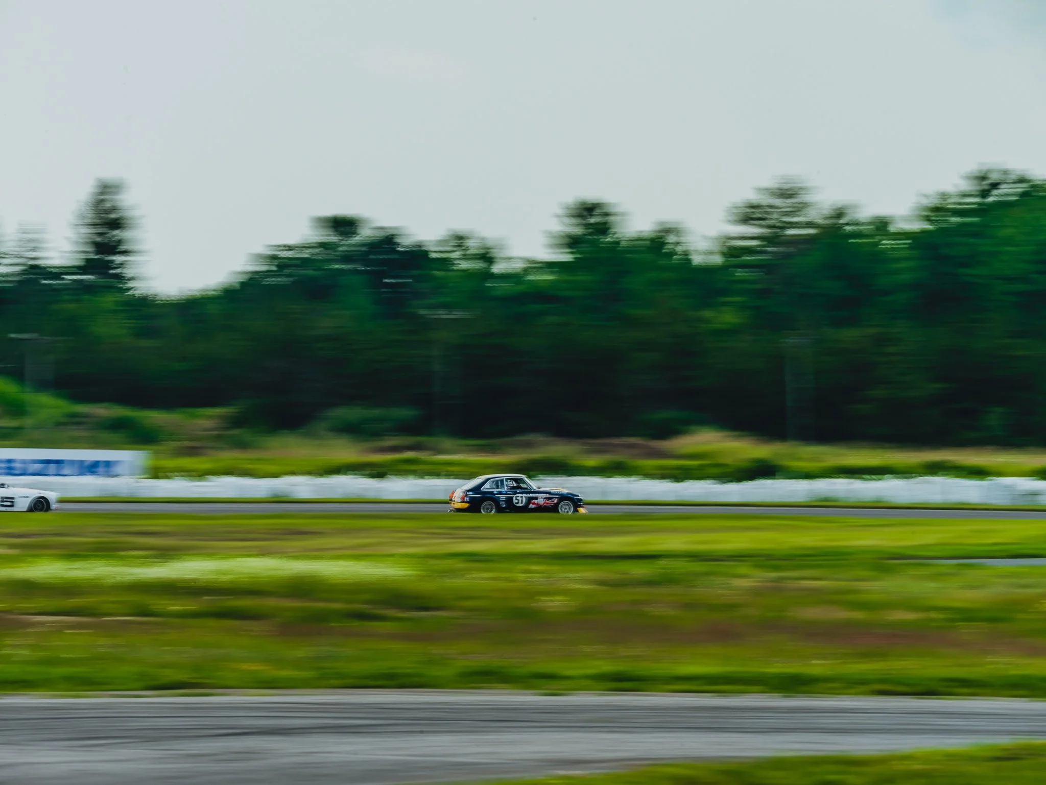 A7403068.jpg