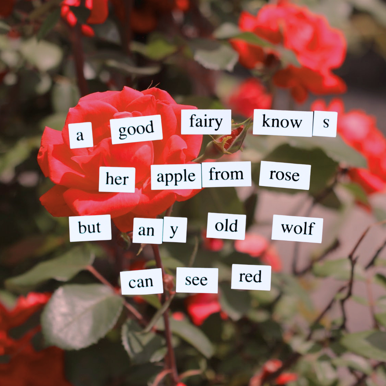 poetry class photos fall 26 (1).png