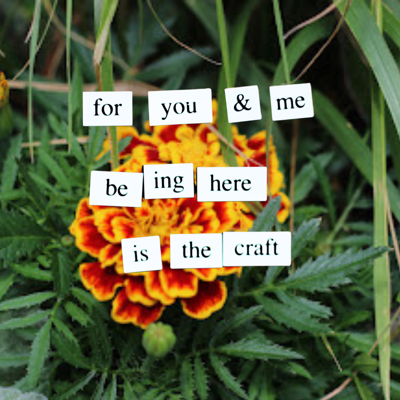 Writing Poetry for the Moment