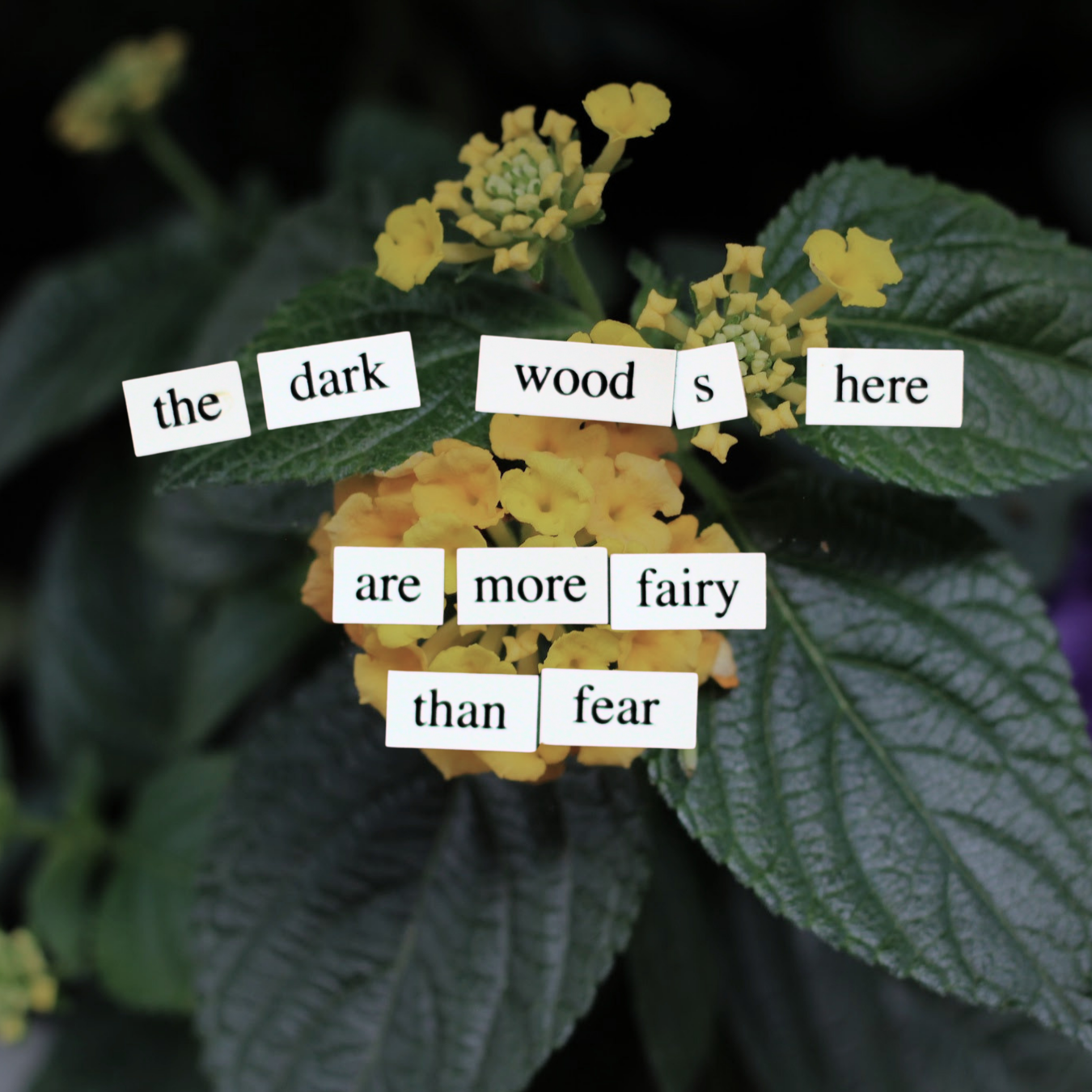 Poetry & Performance (Ages 8-10)