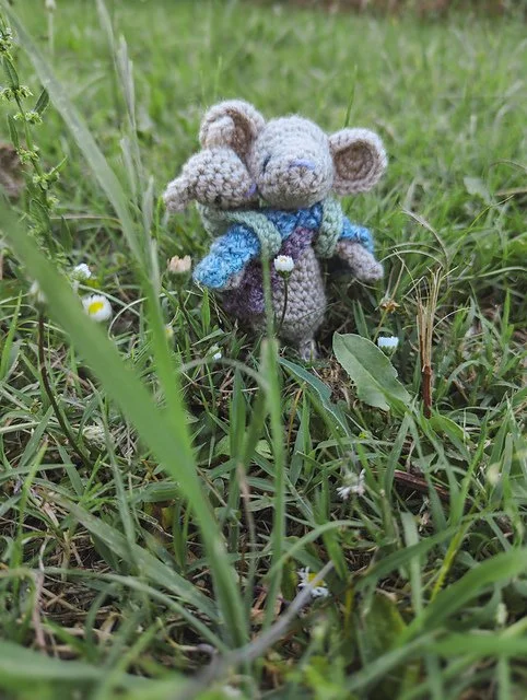 Erskine Baby Mouse Dec 4 2023 (1).jpg