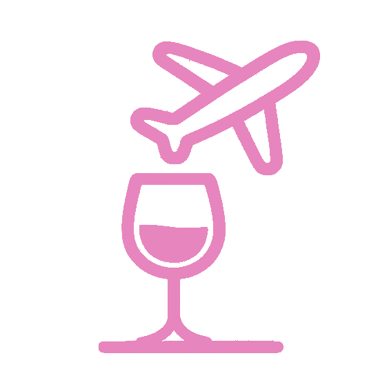 Magnet PR icon for Travel & Leisure clients: Pink line drawing of an airplane flying above a wine glass.