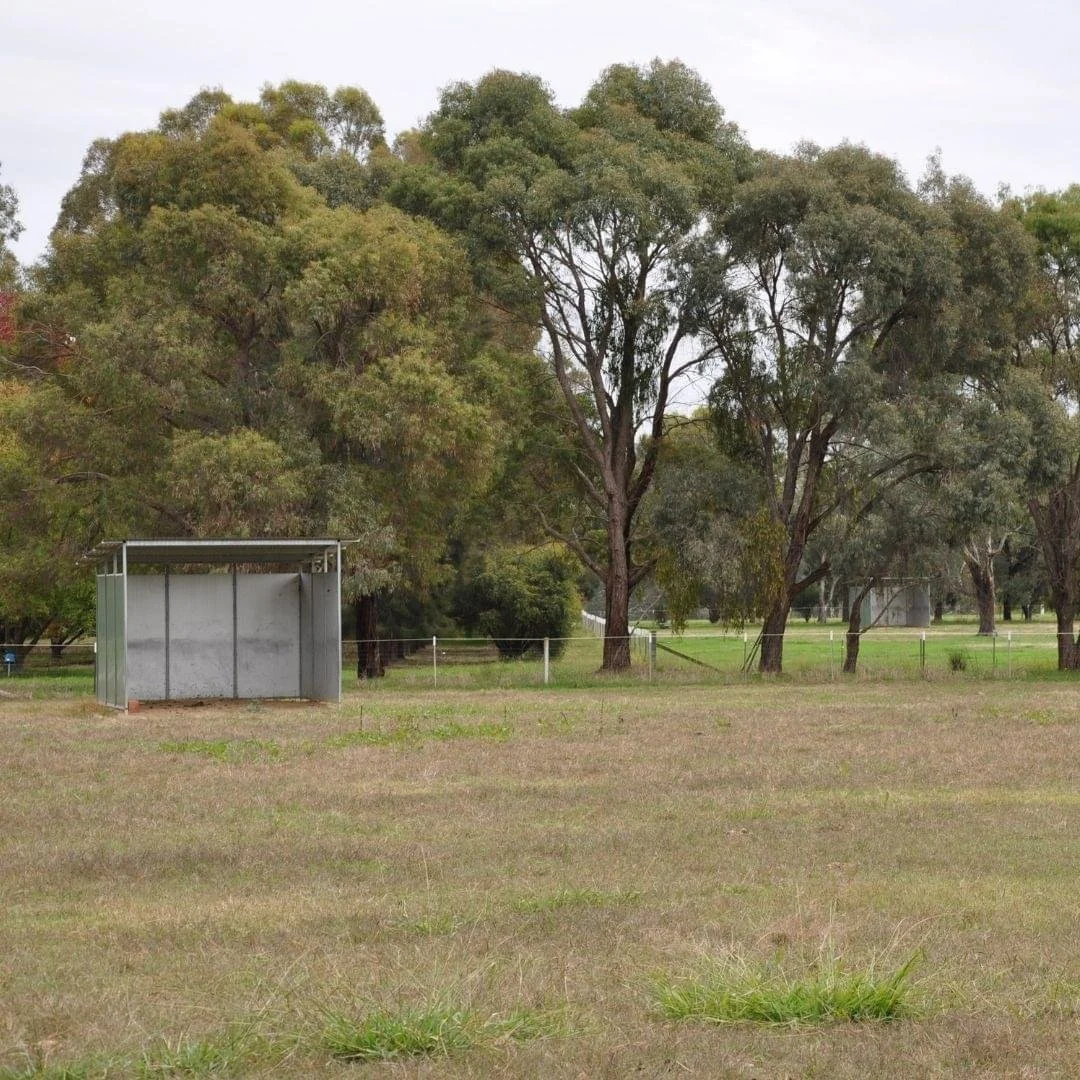 Gullifer-Farm-paddock-2.jpg