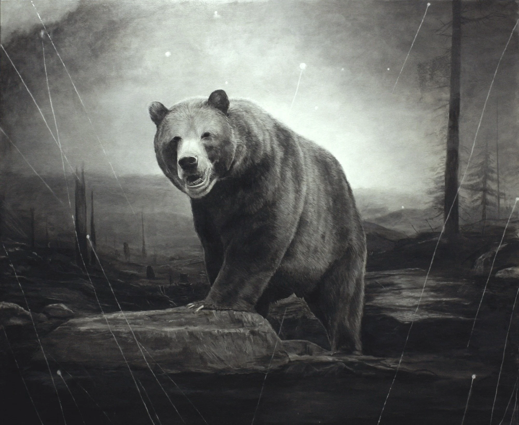 bear.jpg