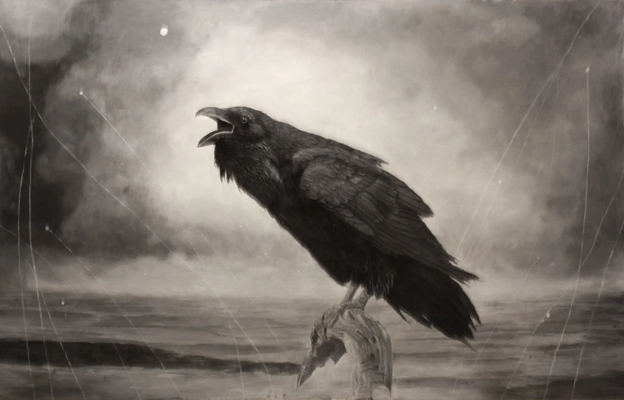crow.jpg