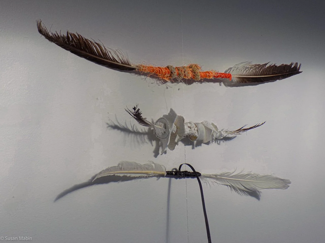 Wings