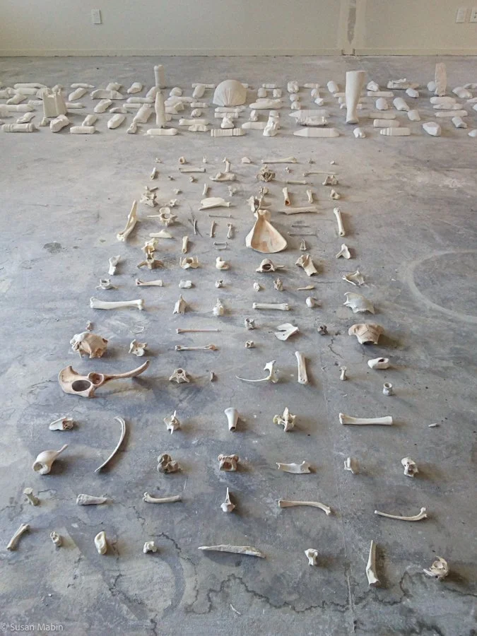 Bones