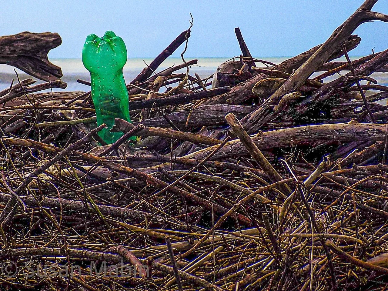 green bottle 2.4 copy.jpg