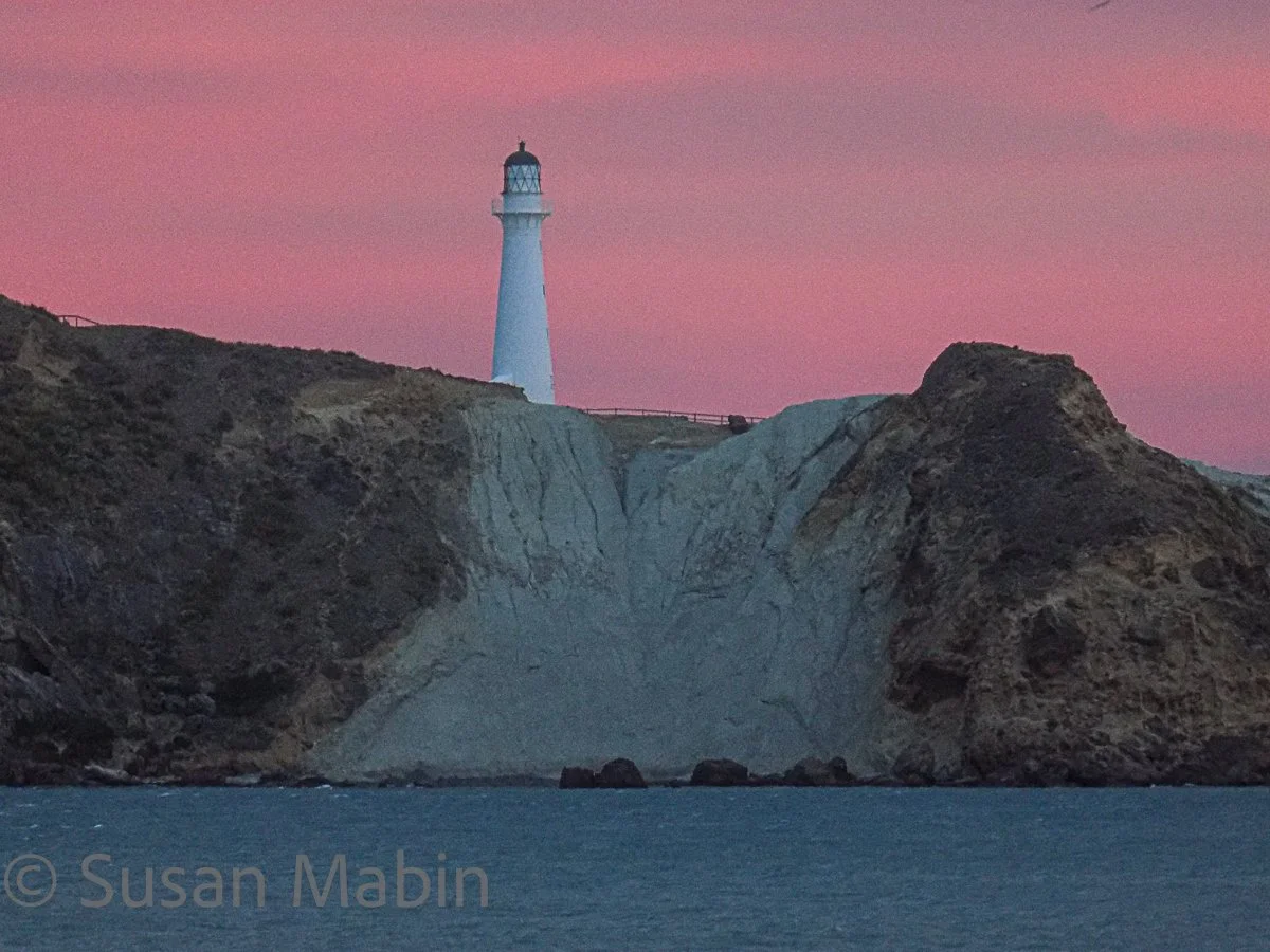 Castlepoint Lighthouse.  2016