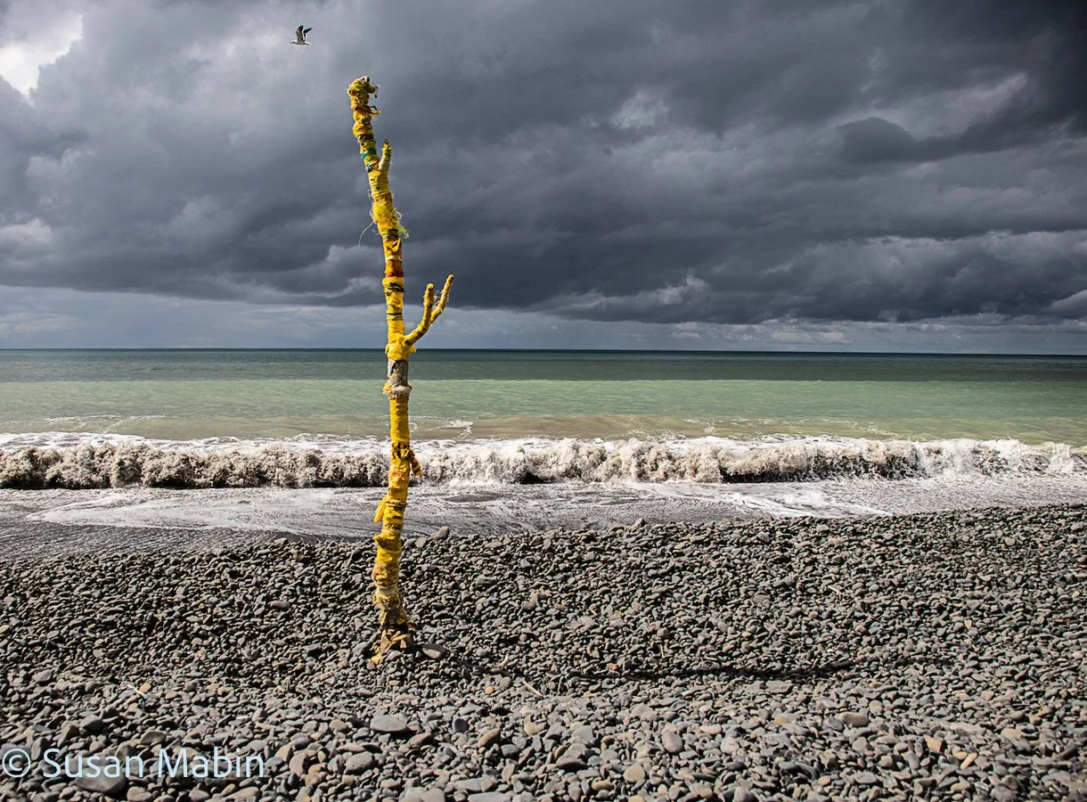 yellow tree 13.jpg