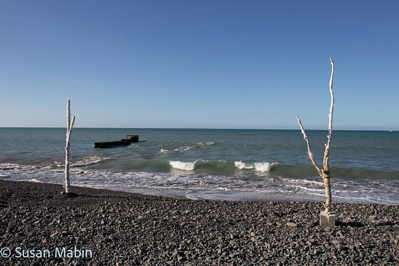 IMG_8470 copy.jpg
