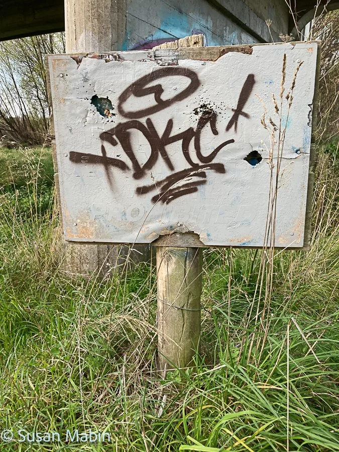 IMG_1190-2.jpg