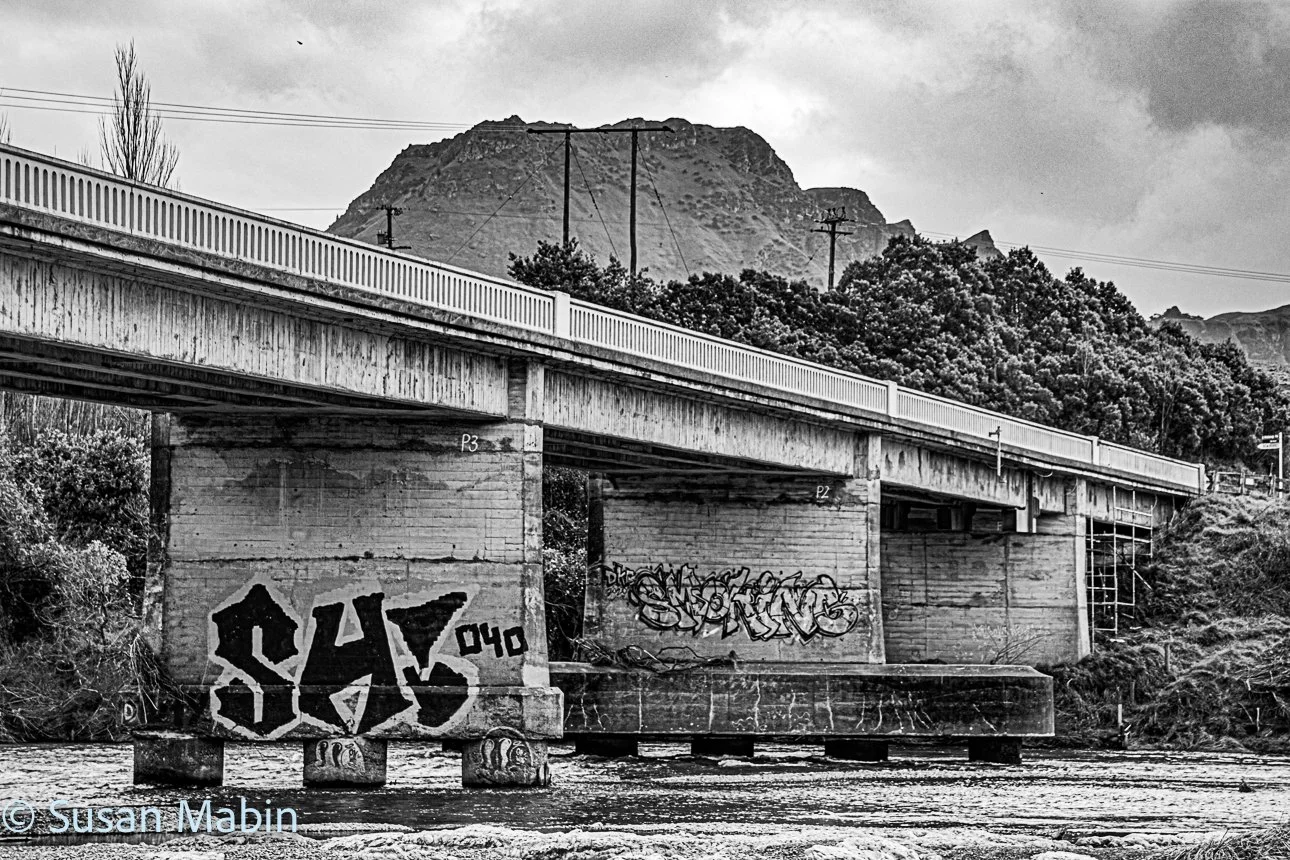 IMG_1656 (1) copy.jpg