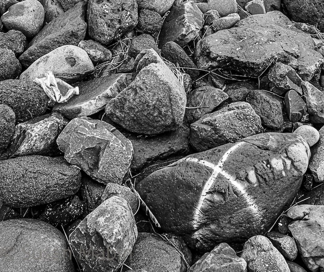 P2120012 copy 2.jpg