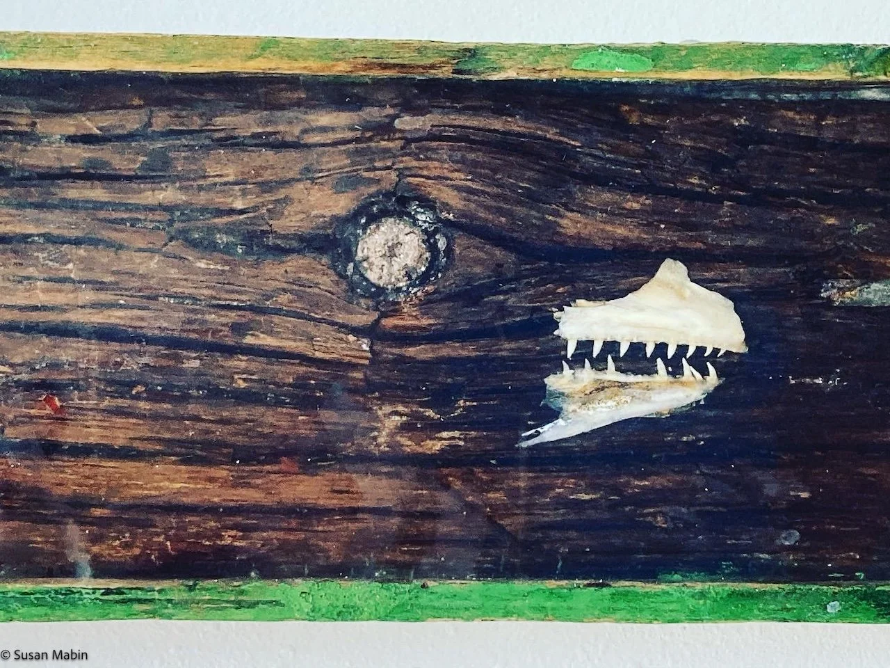Disappearing Act.  Detail