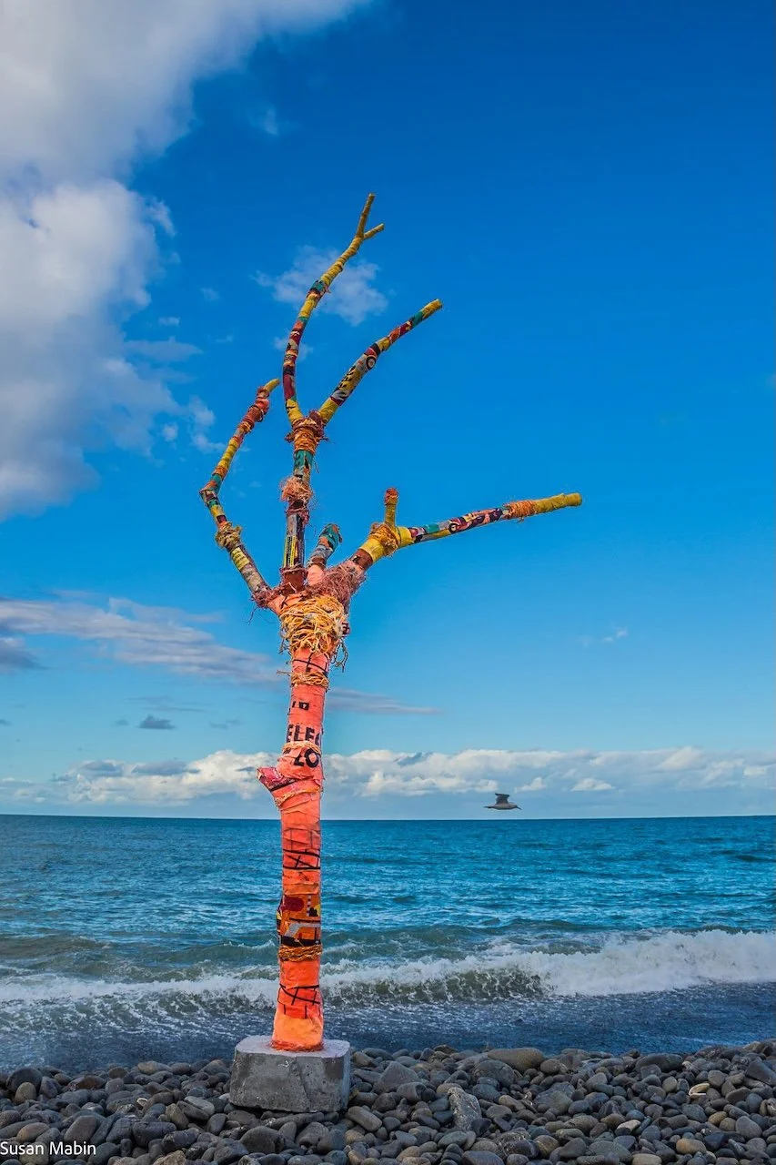 beach tree (2) copy.jpg
