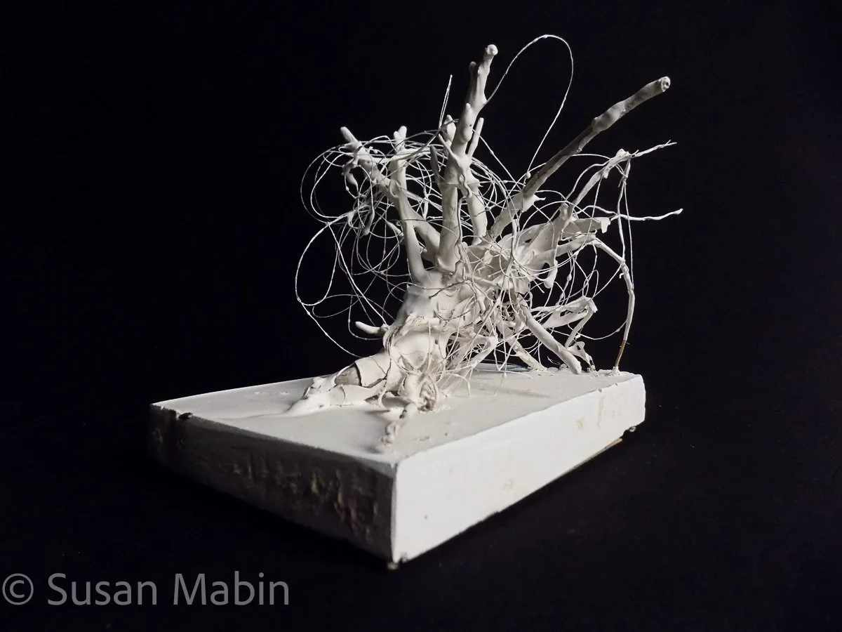 Tangled.  Plaster of Paris.  Found fishing line and branch. 
