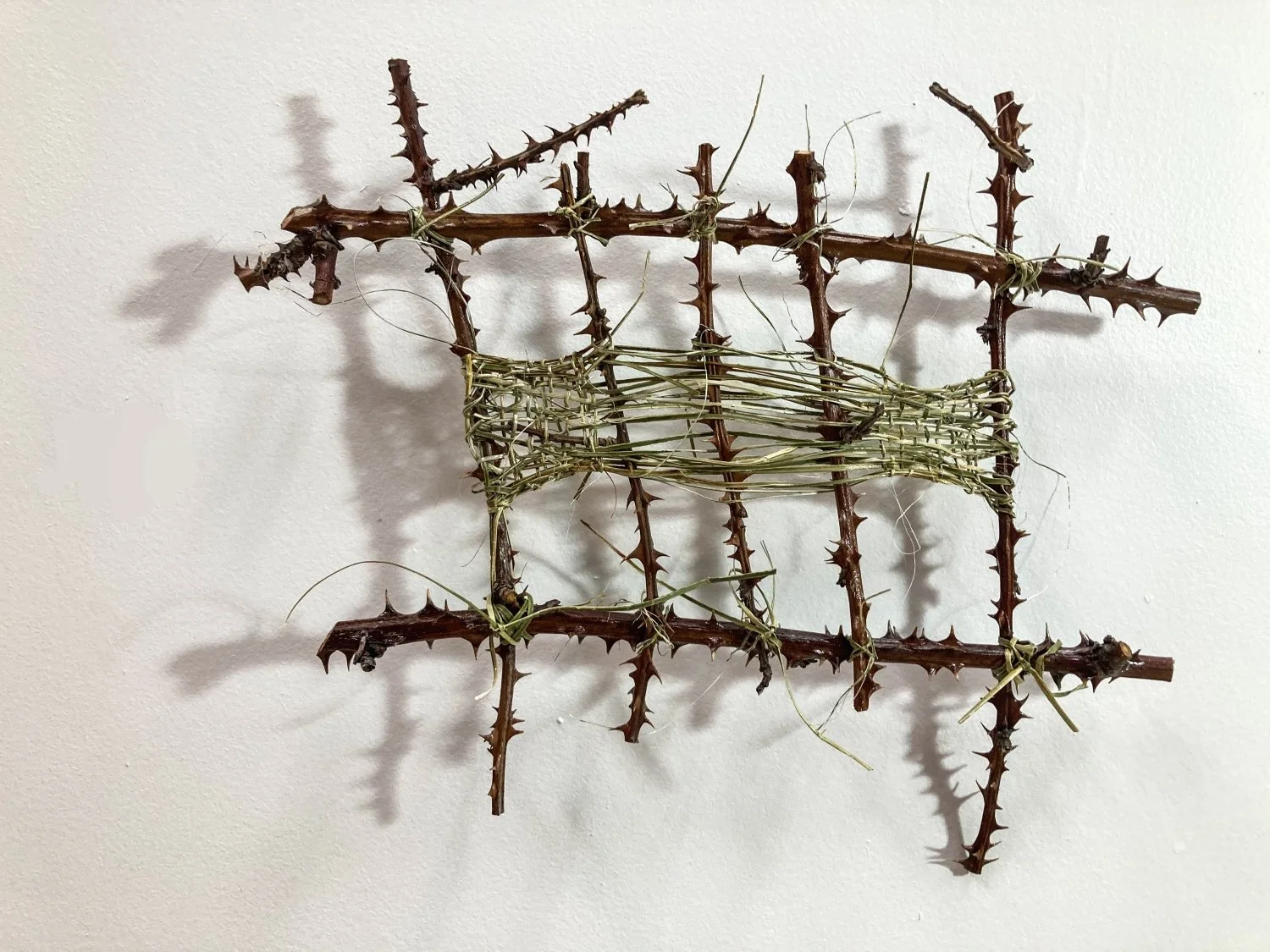 Detail.  Blackberry stems, flax and shadow.jpg