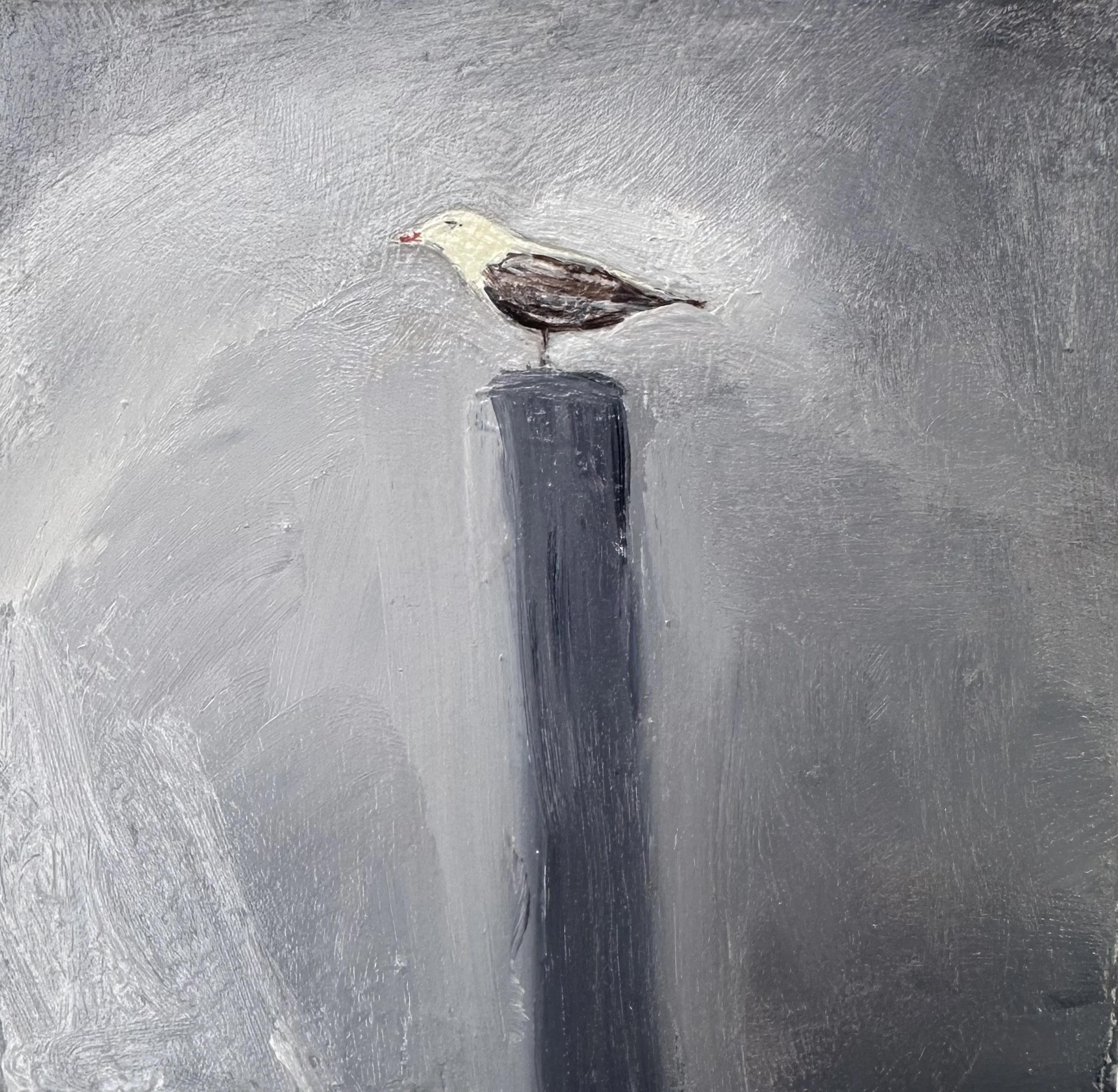 Seagull I.  2025. Oil on board.  100mm x 100mm.  Sold
