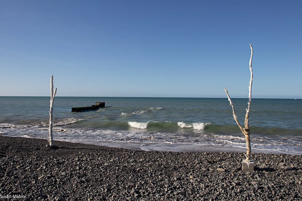 IMG_8470 copy 2.jpg