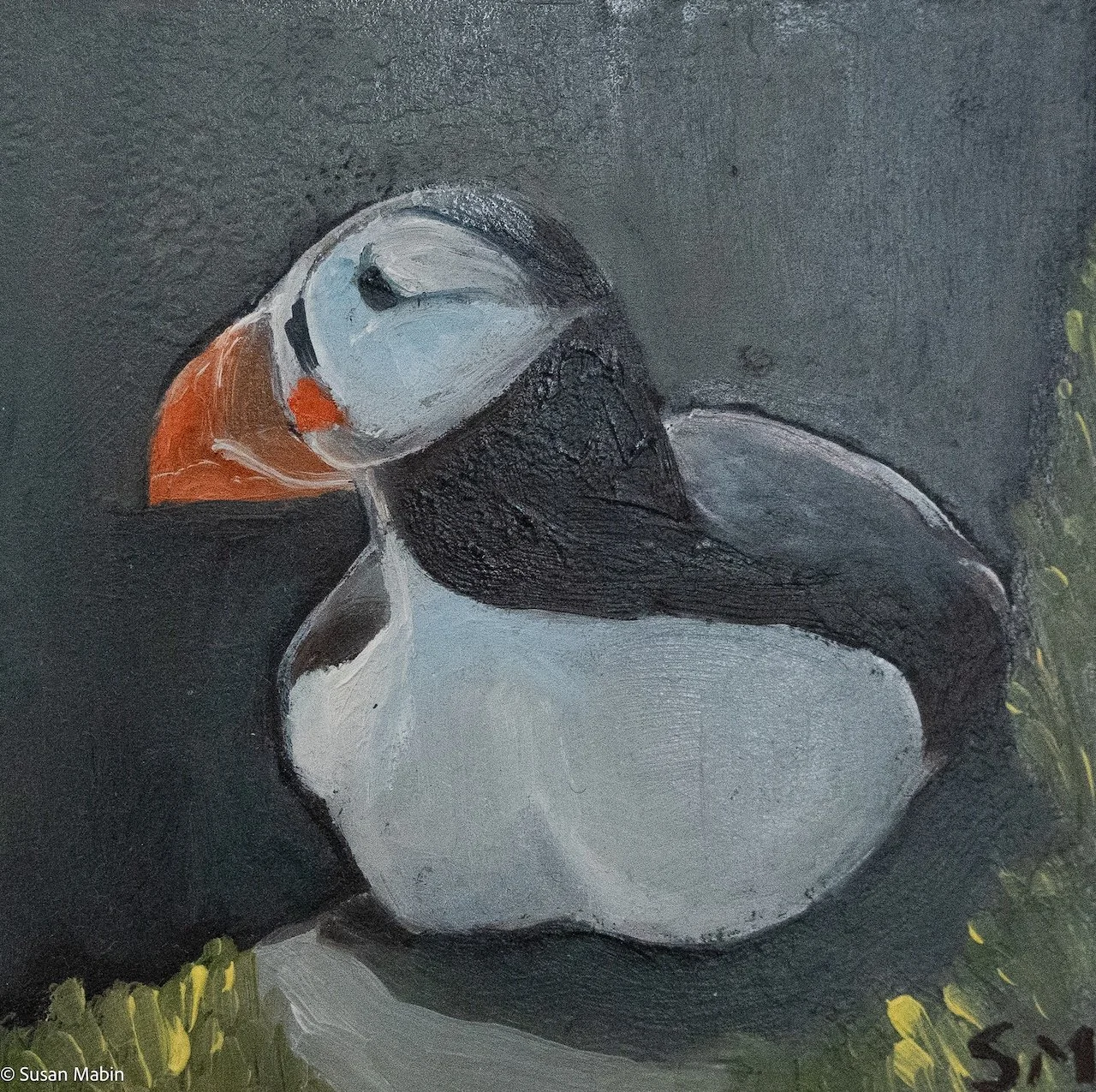 Puffin I.  2026. Oil on woodblock.  100mm x 100 mm