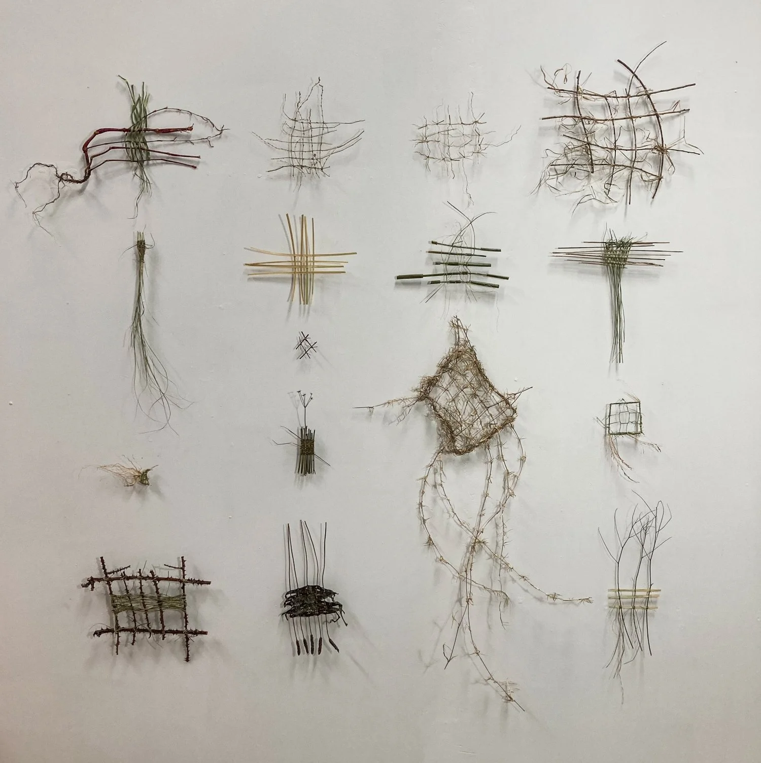 Mapping the flora of the Tutaekuri River (2).jpg