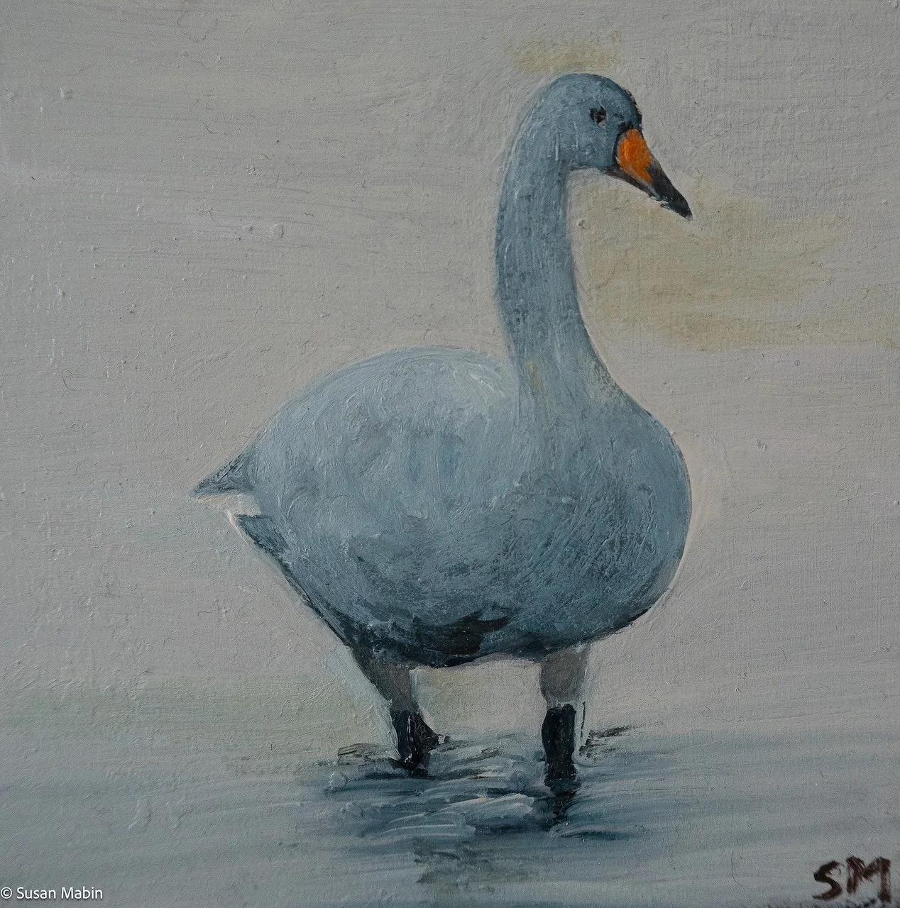Snow Goose I. 2026.  Oil on woodblock.  100mm x 100mm