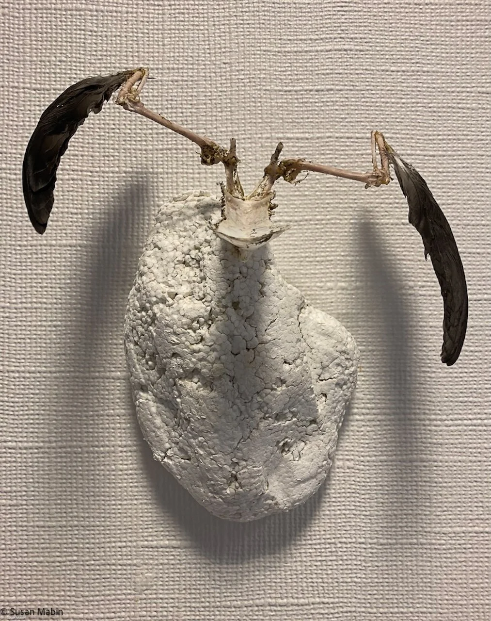 1. IMG_8457 copy 3.jpg