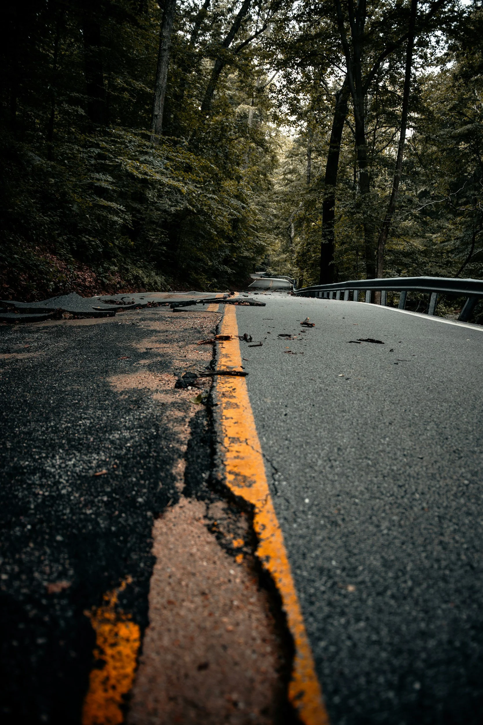 An aging asphalt road winding through a forest in Minnesota, showing surface wear, cracks, and debris that require professional asphalt repair and sealcoating.