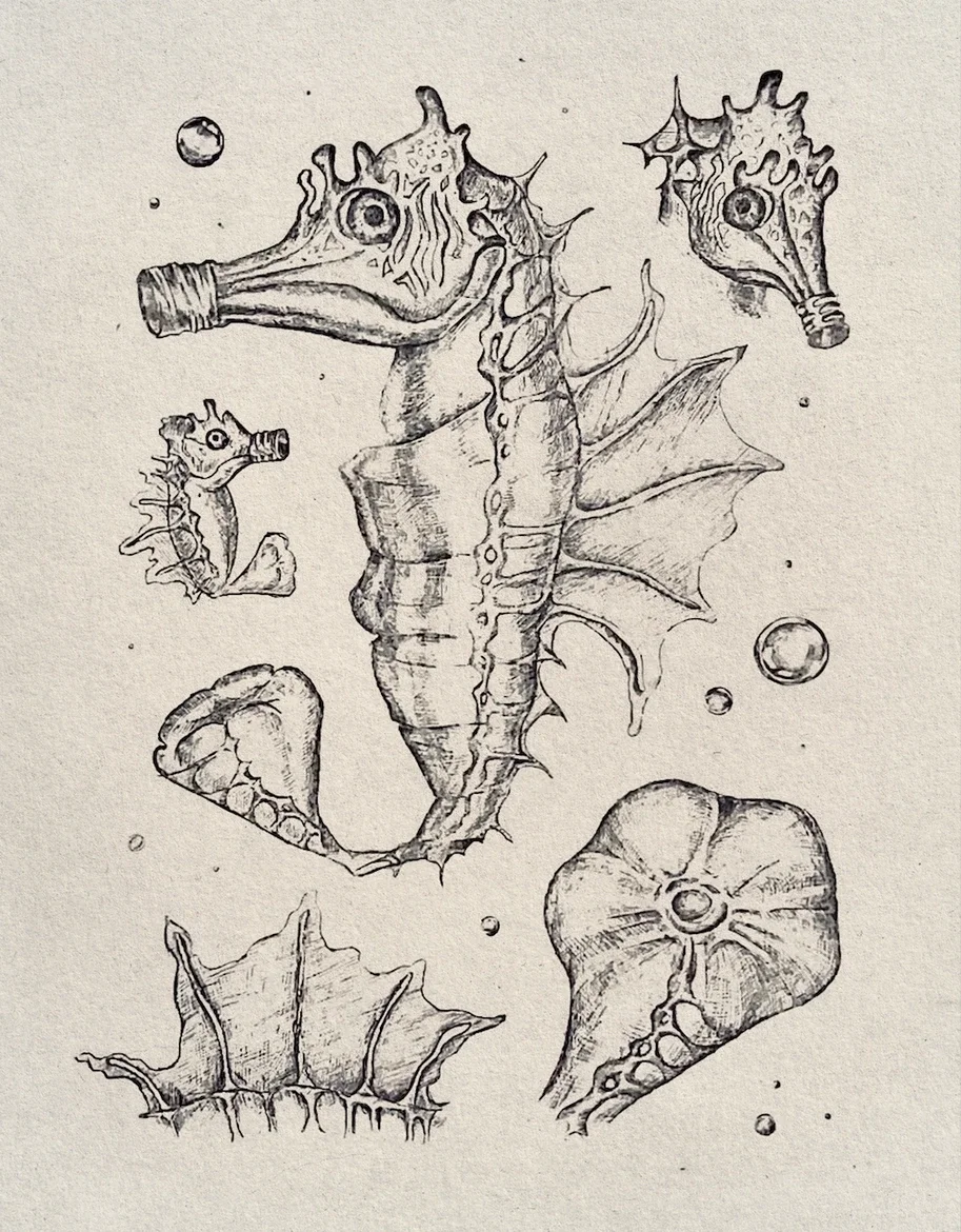 Poly Sea