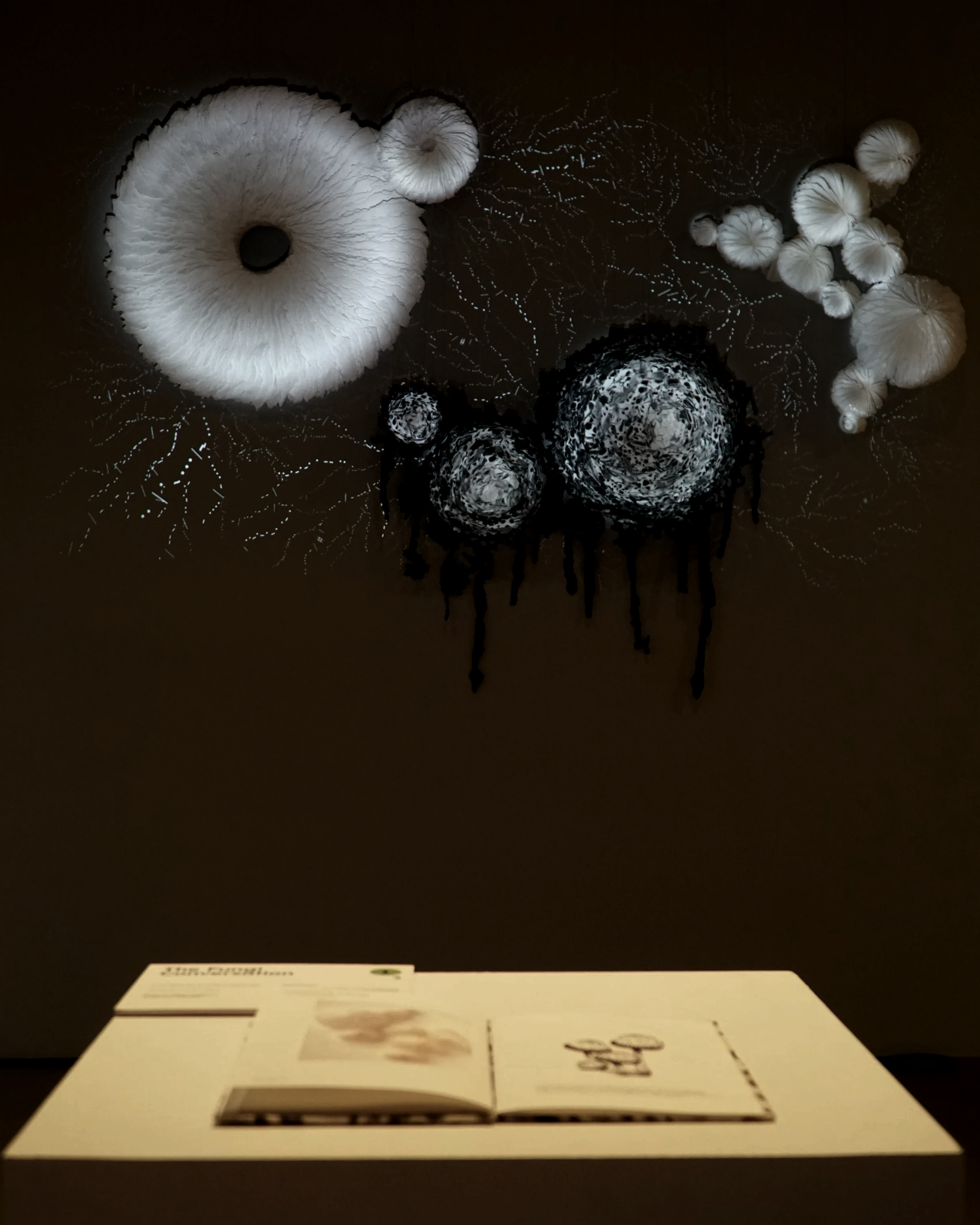 DSC03354.png