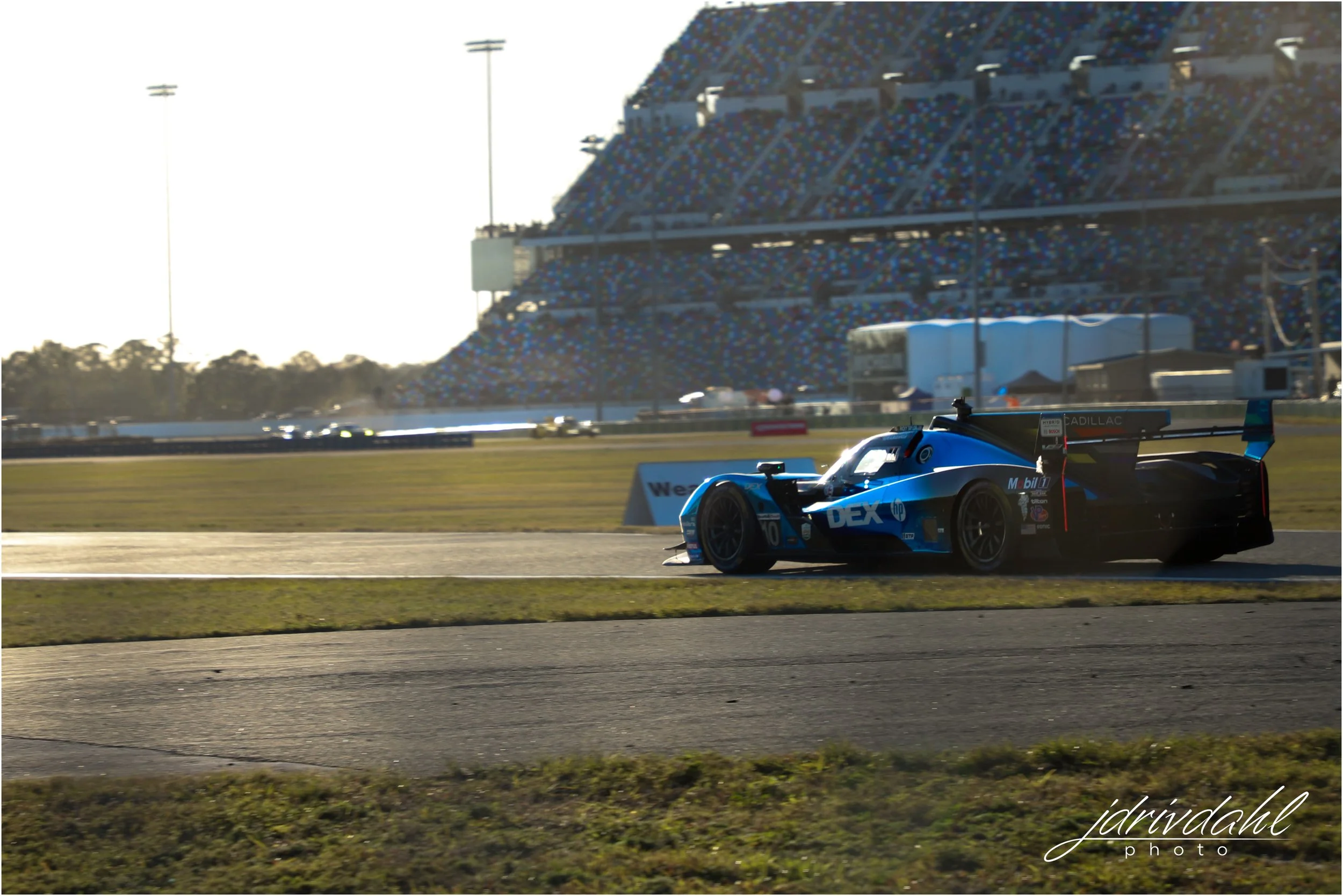 IMG_6203 WM.jpg