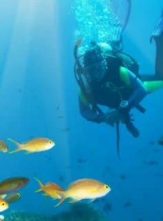 Manjeeti Juggernauth, Marine Biologist, scuba diving underwater surrounded by small yellow fish.